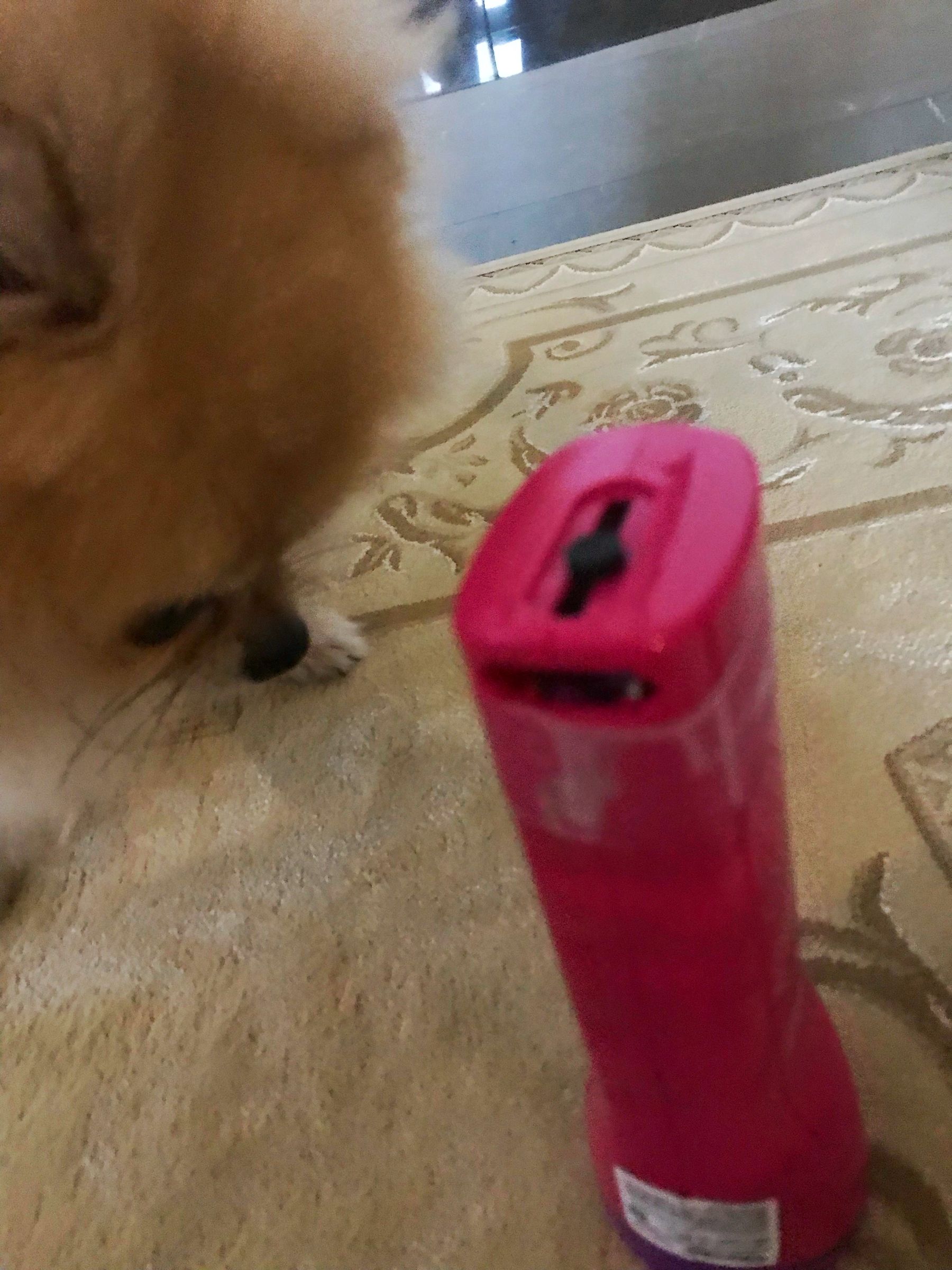 How to Fix a Broken Rechargeable Flashlight!!!!!! 3 Steps Instructables