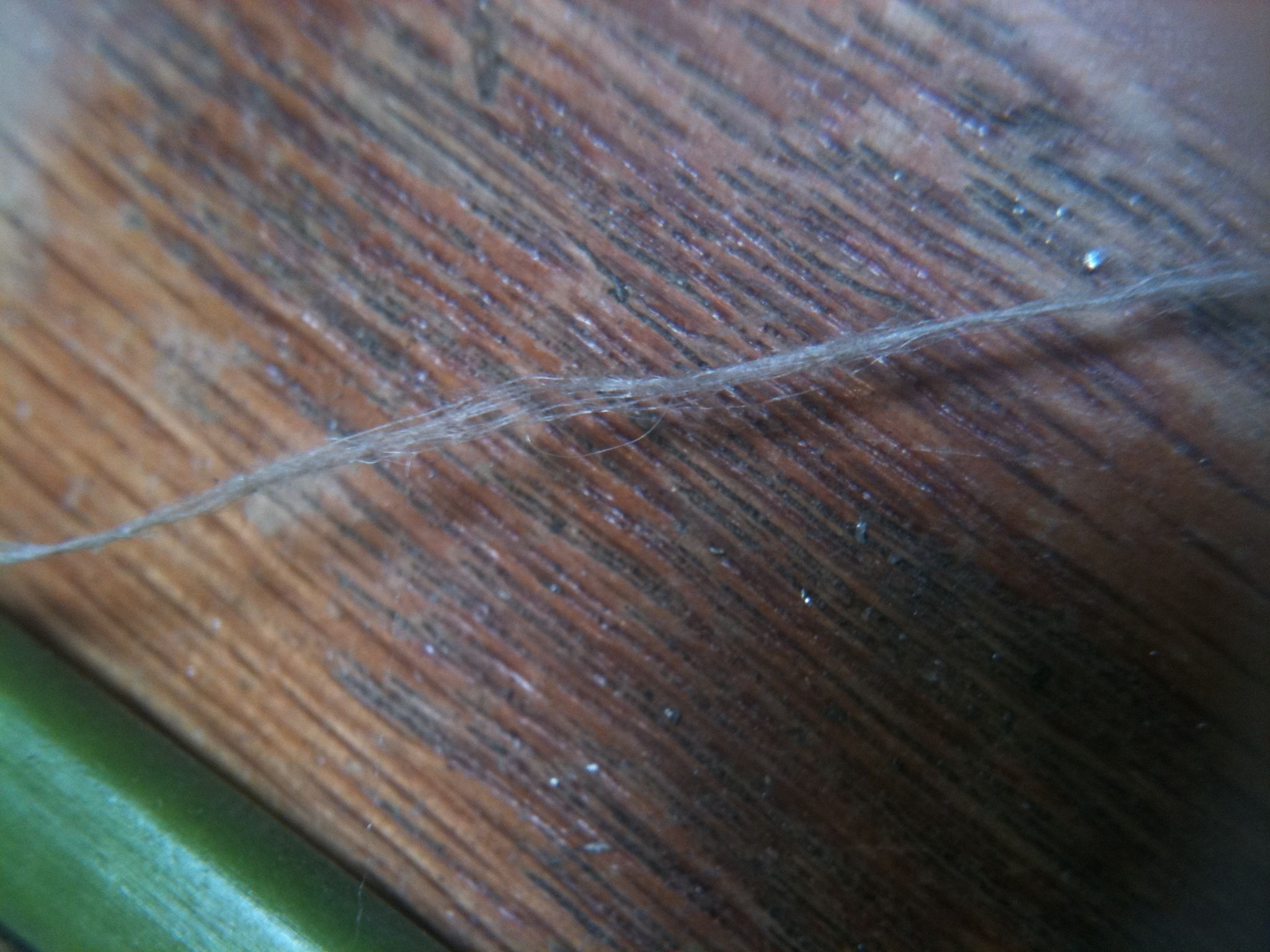 How to Make Spider Silk Thread 8 Steps (with Pictures) Instructables