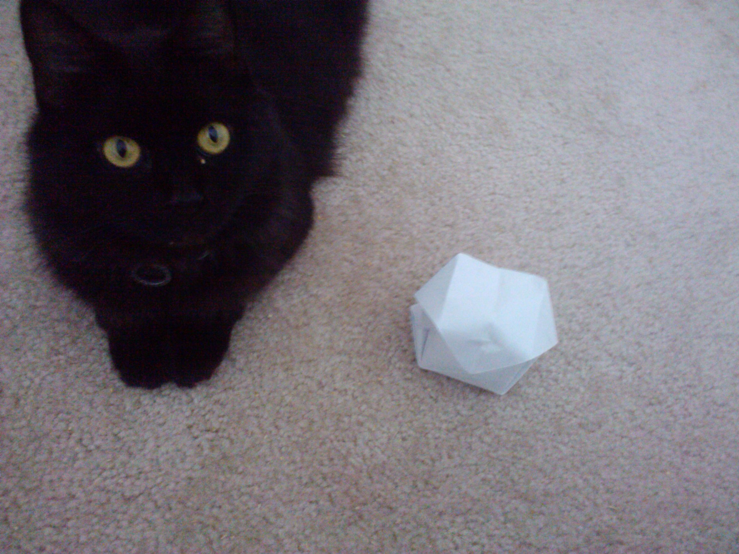 origami cat toy