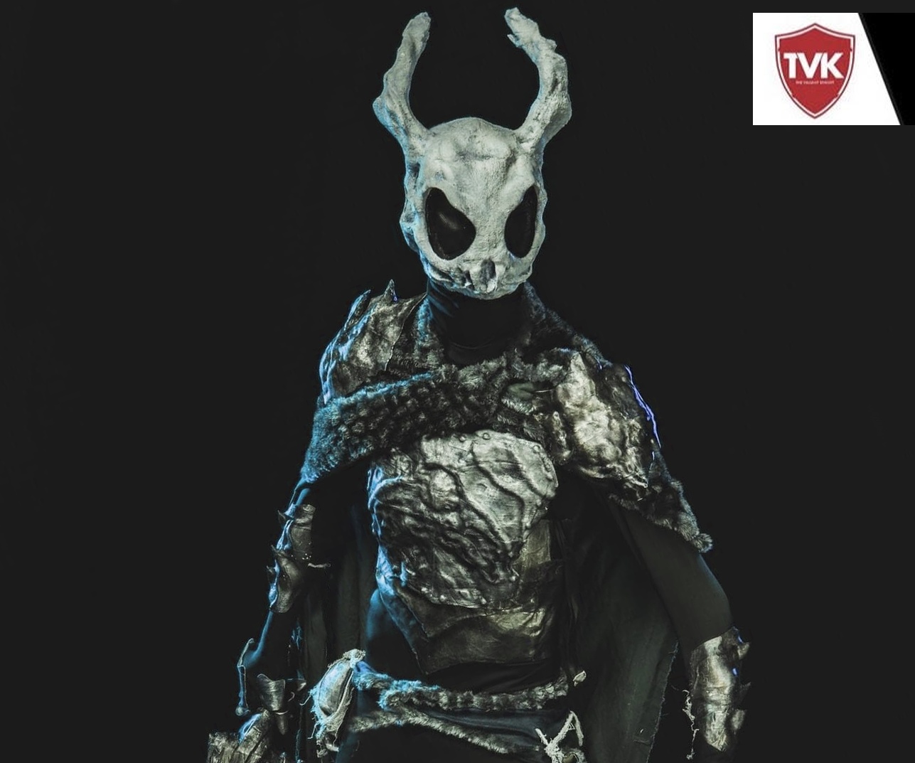 (Dark Fantasy) Hollow Knight Costume