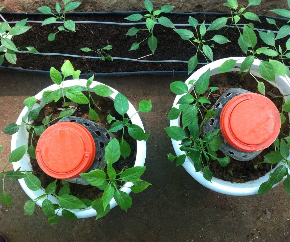 Daily Dump 4 Steps Instructables