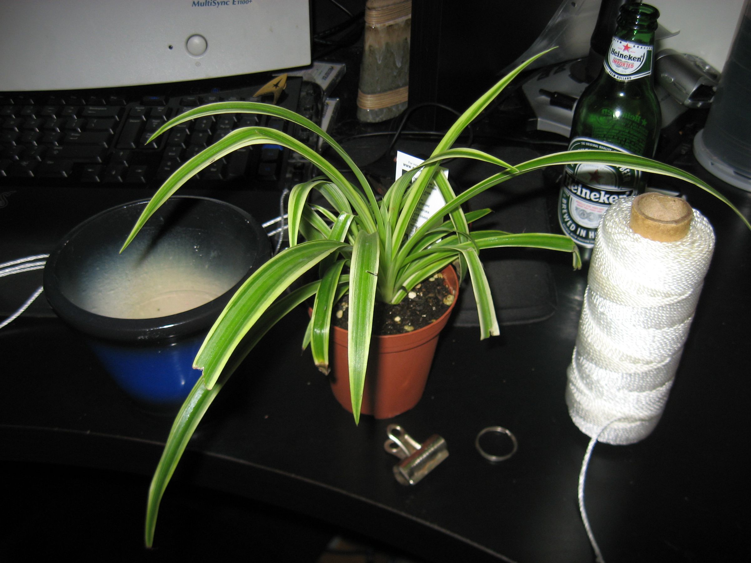 How to Make a Hanging Potted Plant Rope Holder Kinda 6 Steps