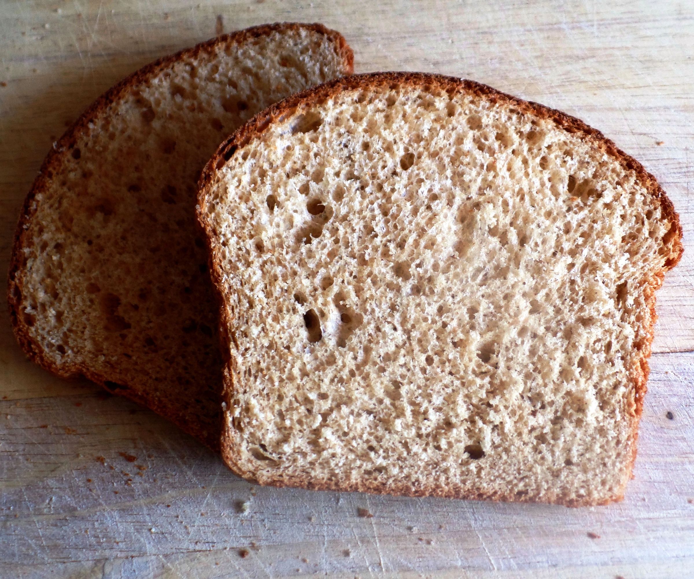 100% Whole Wheat Home-Ground Sandwich Bread, Rolls, and Focaccia