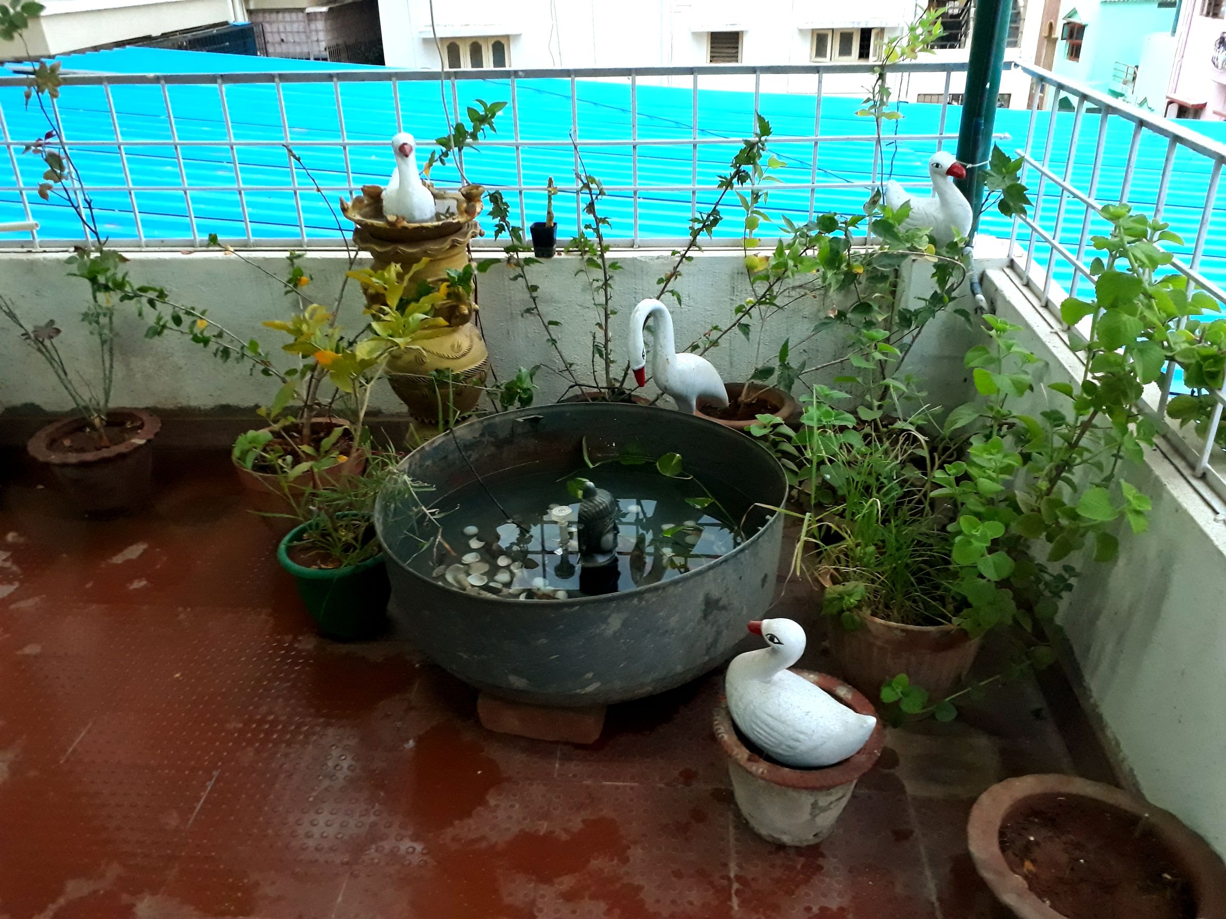 How to Make a Fish Pond at Low Cost 7 Steps (with Pictures