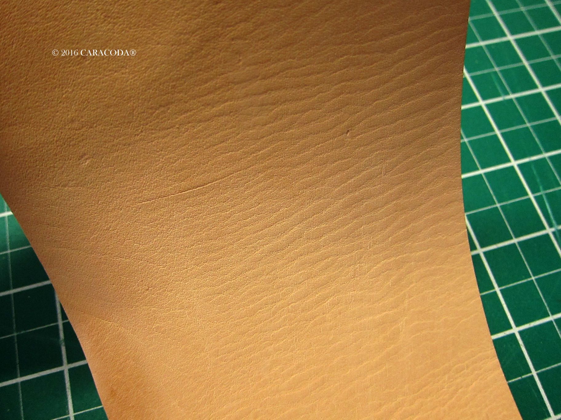 Leather Rug 10 Steps (with Pictures) Instructables