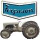 fergusontea