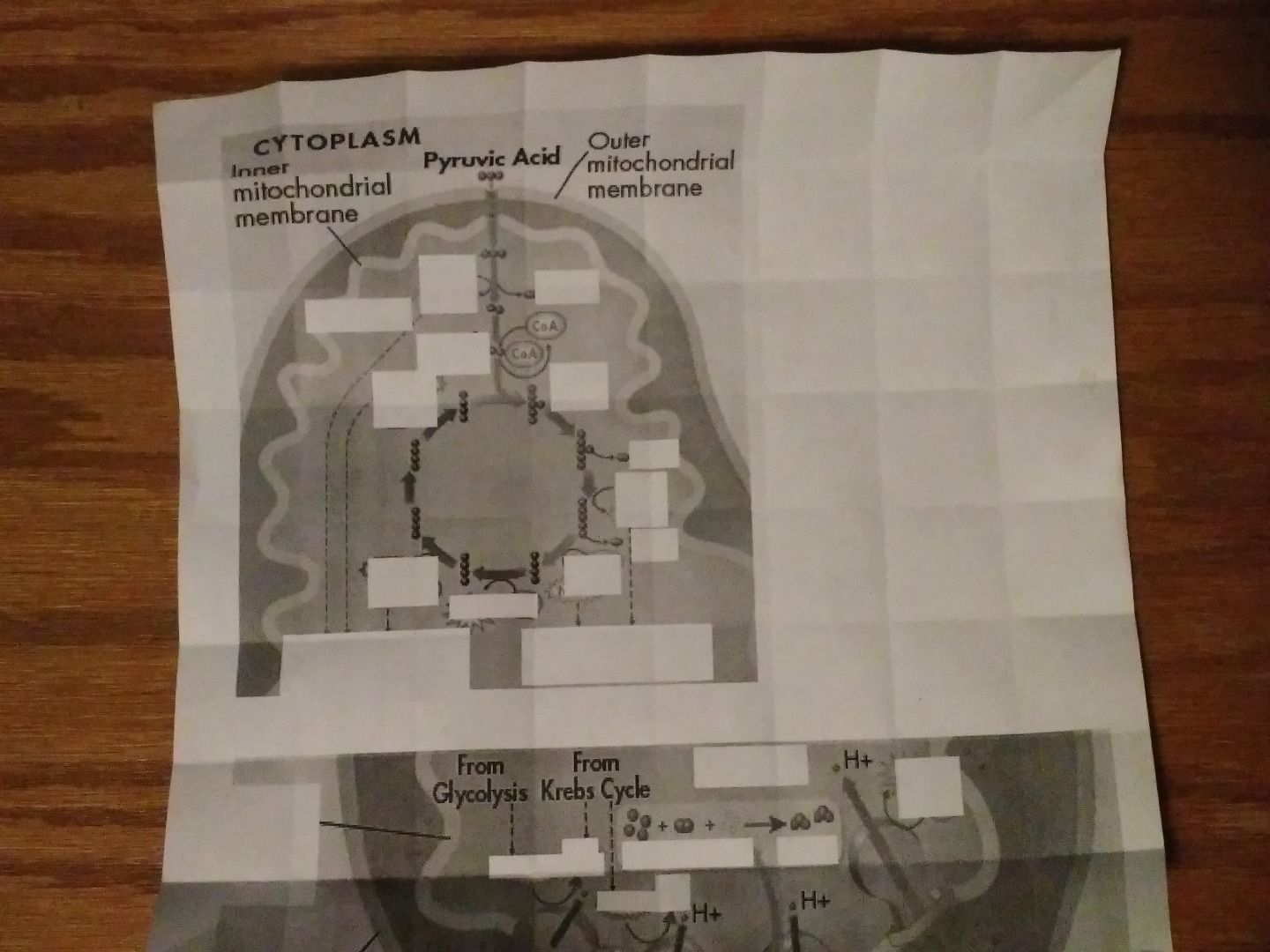 How to Make Magic Cubes 7 Steps Instructables