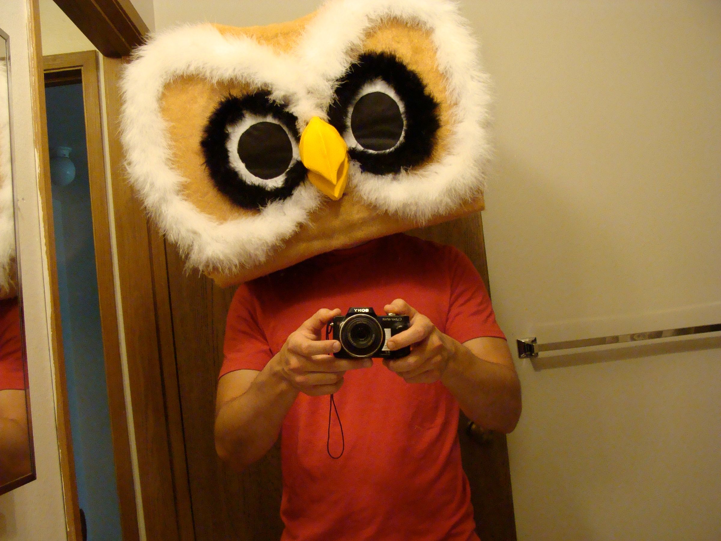 How to Create an Affordable Mascot Head 5 Steps (with Pictures