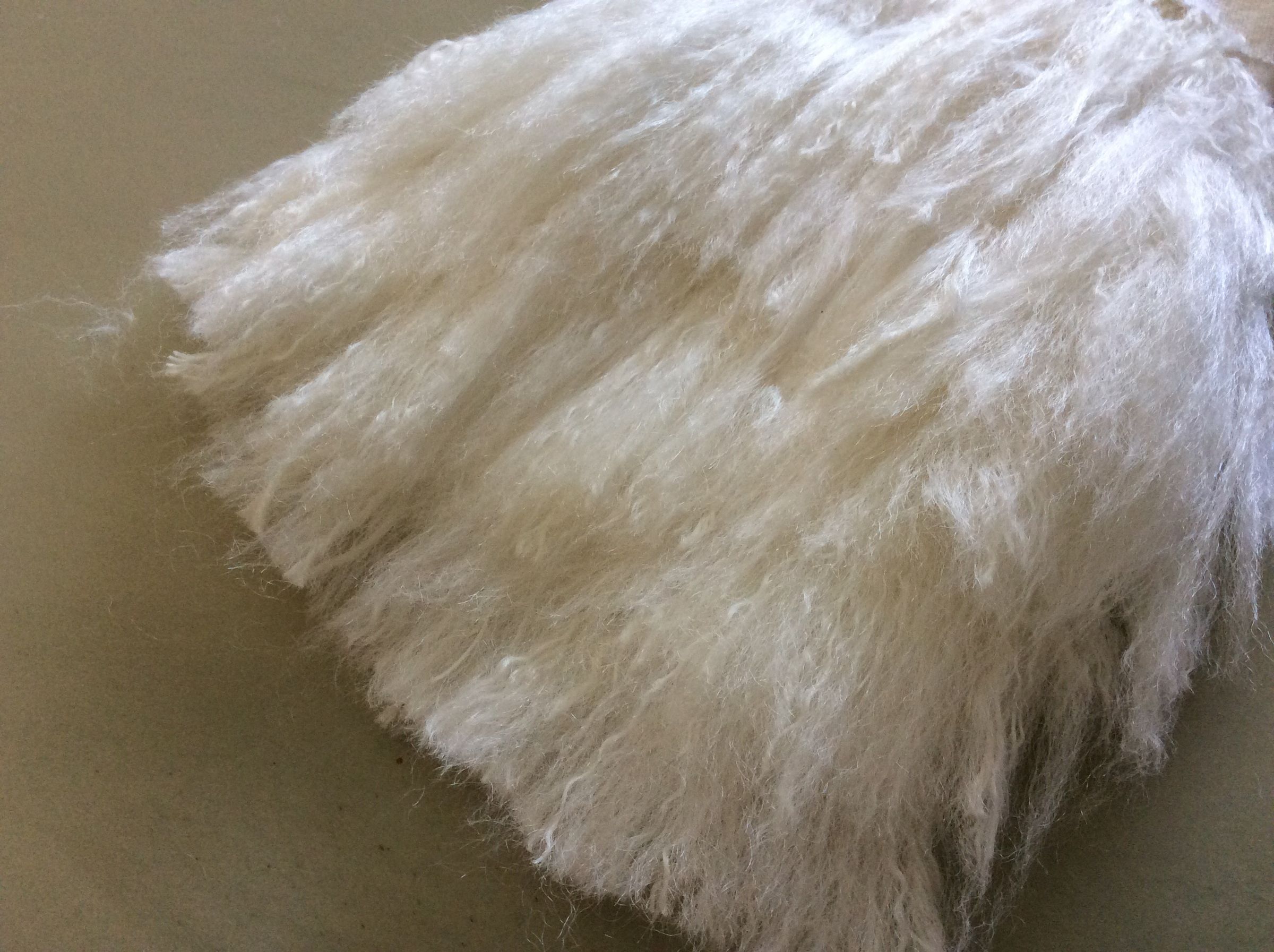 wool fur