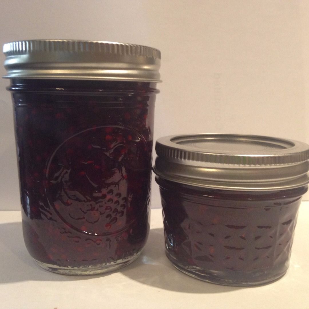 Blackberry Quick Jam 4 Steps (with Pictures) Instructables