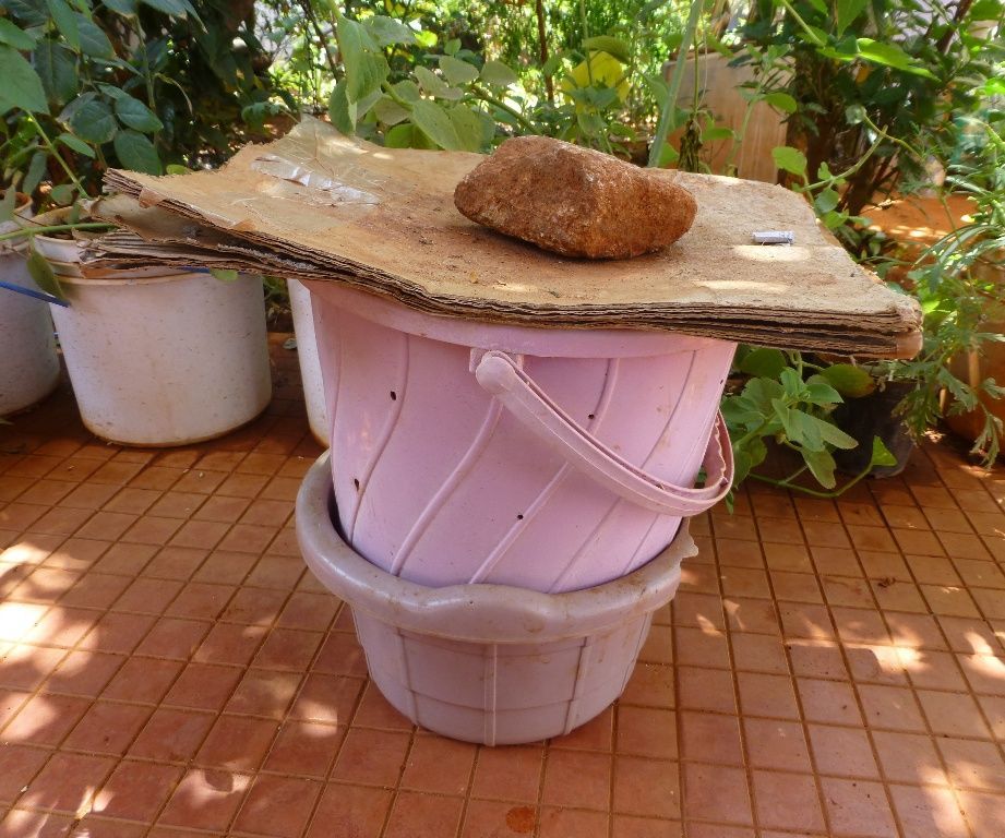 Vermicomposting the Easy Way for the Urban Farmer