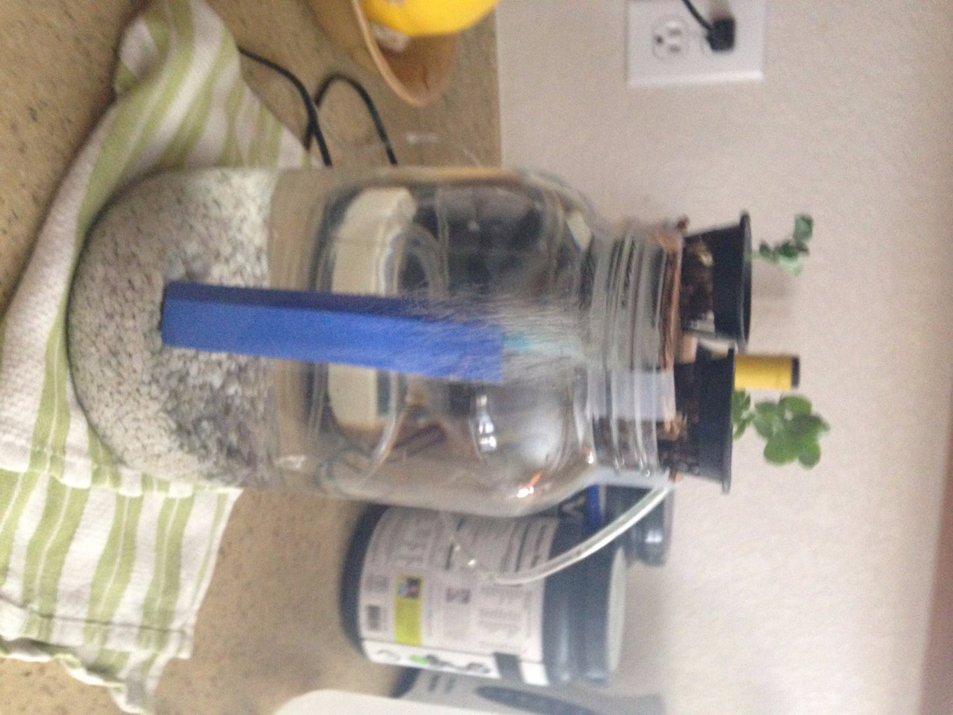 Mason Jar Aquaponics 5 Steps Instructables Mason Jar Aquaponics 5 Steps Instructables