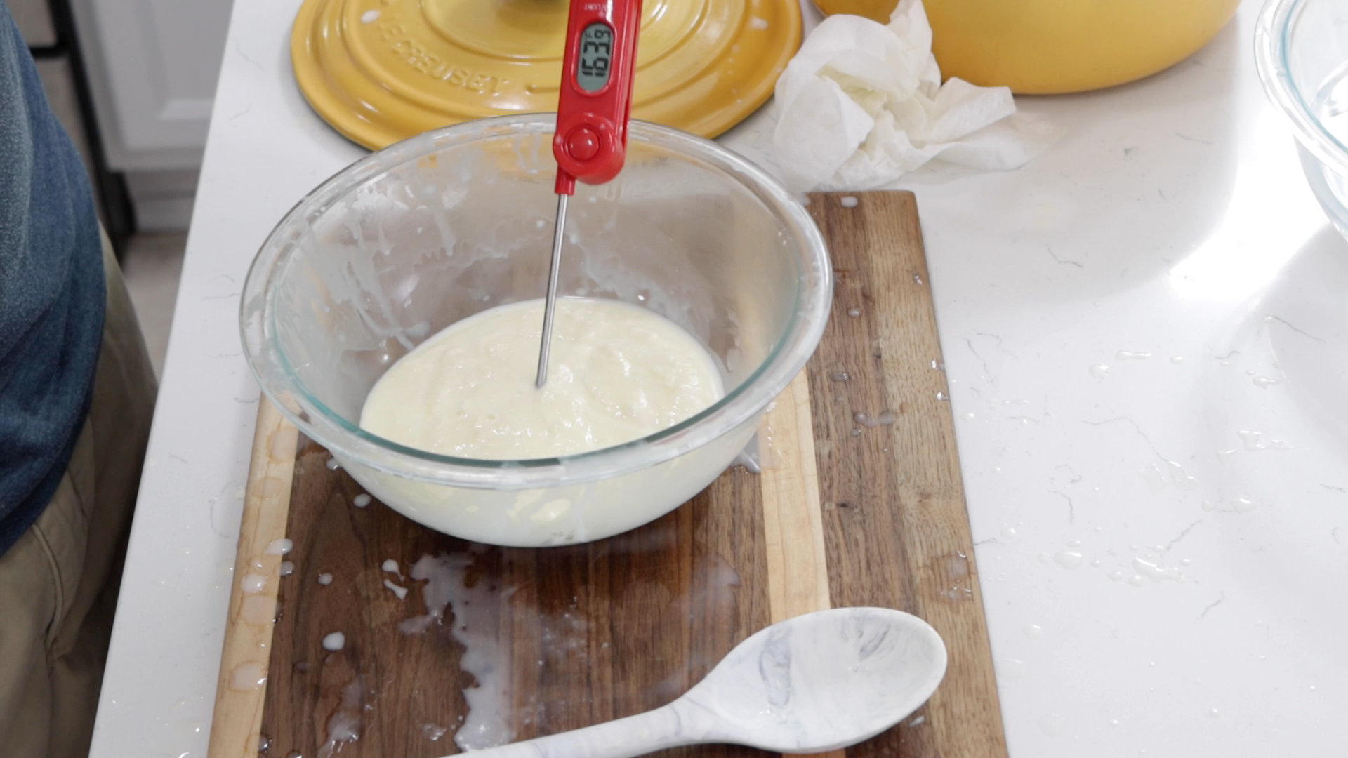 Homemade Mozzarella Cheese Only 2 Ingredients 9 Steps with 