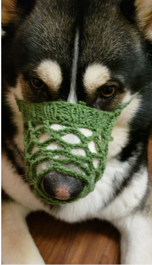 friendly muzzle