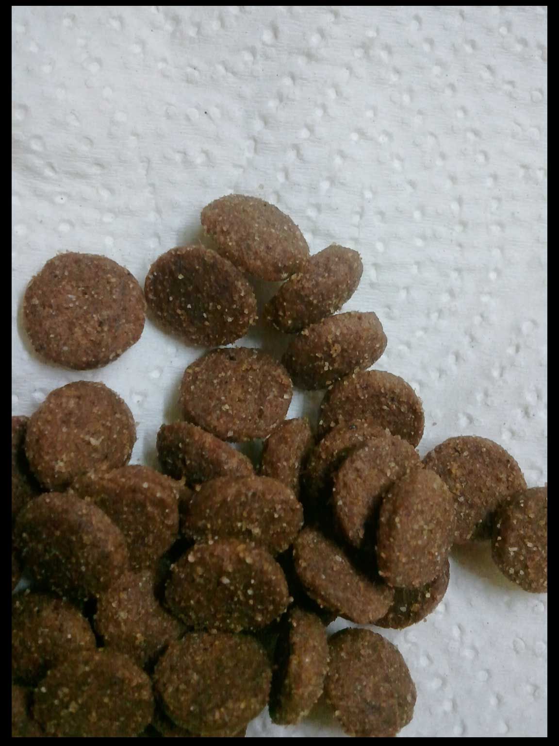 Frozen Dog Treats / Kong Filler 6 Steps (with Pictures) Instructables