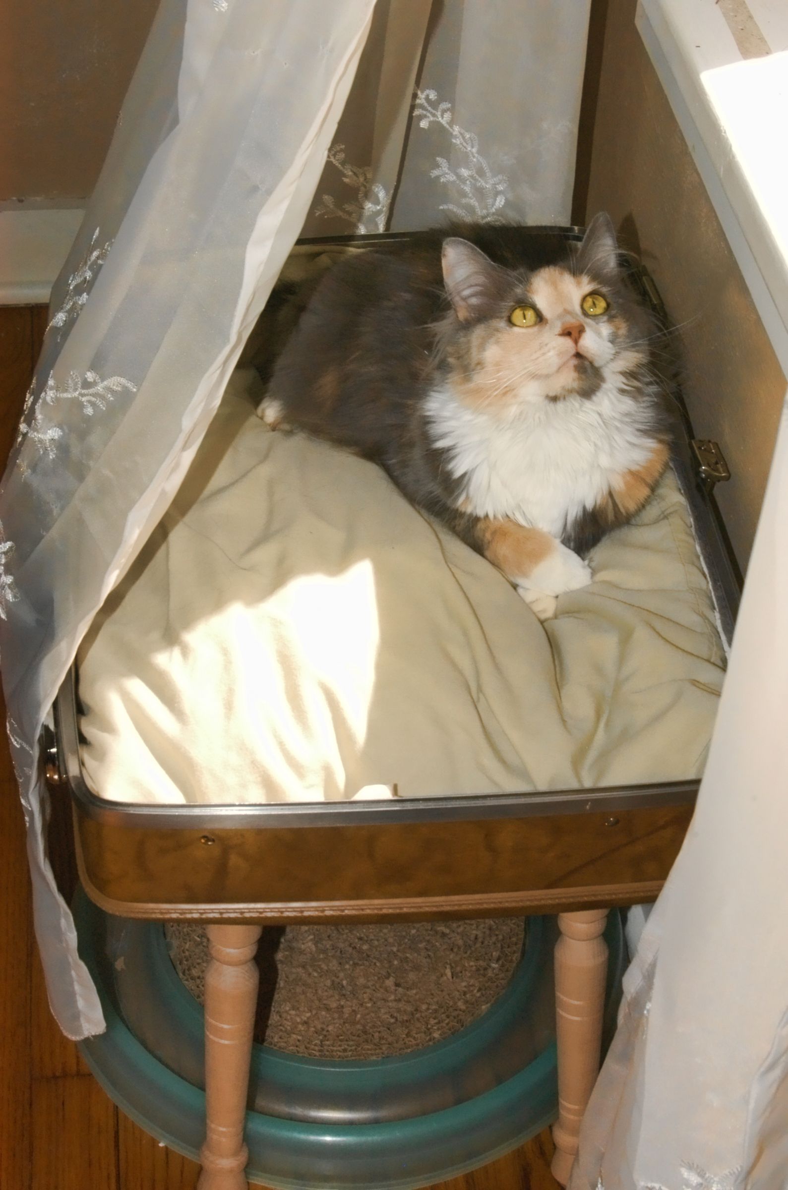 Stylish & Simple Suitcase Pet Bed 3 Steps (with Pictures) Instructables