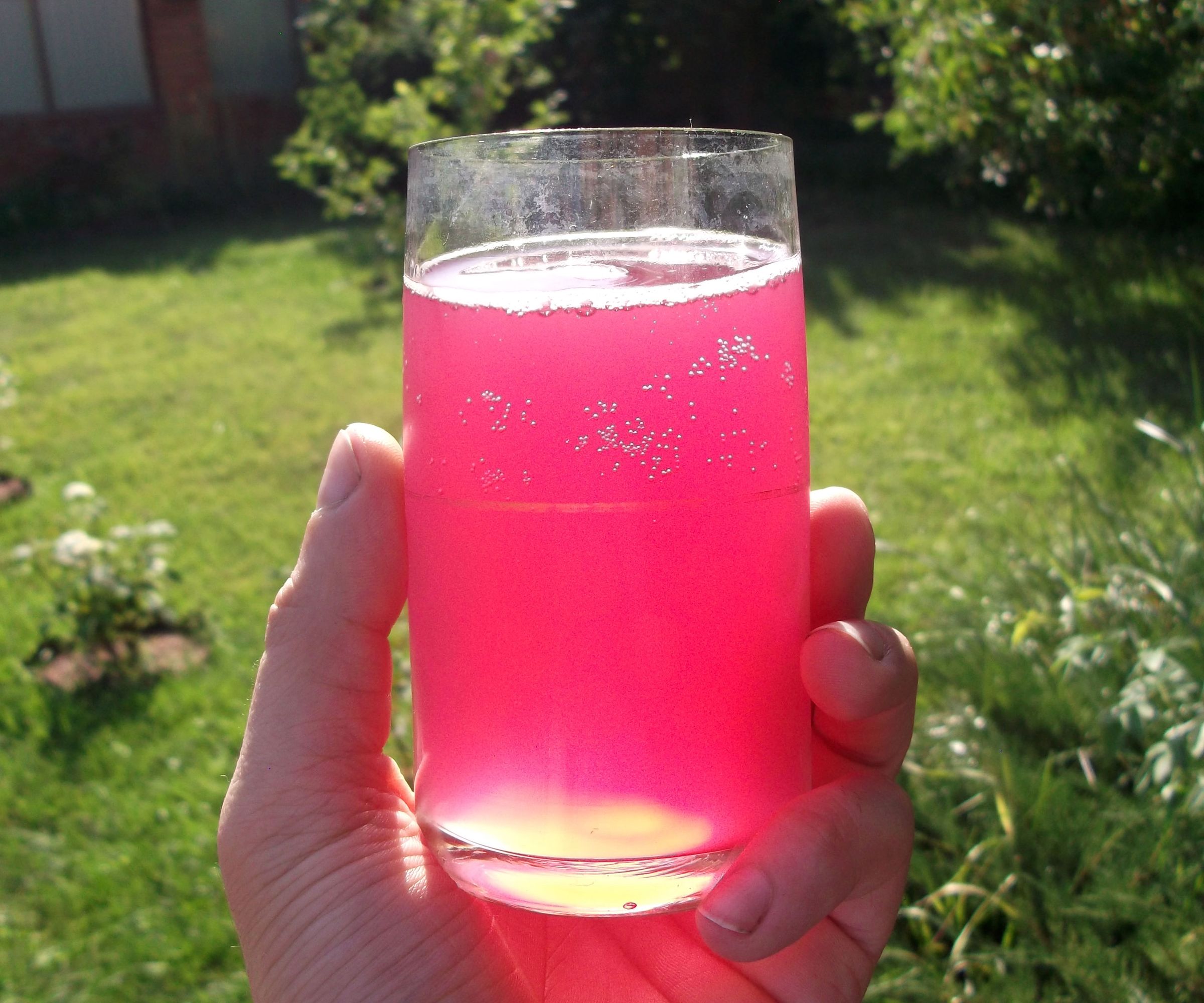 Grape Vine and Basil Kvas (refreshing Carbonated Non-alcohol Fermented Drink)