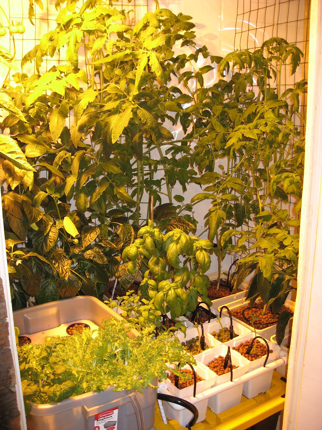 Hydroponic Drip Garden for Vegetables, Herbs or Flowers 16 Steps