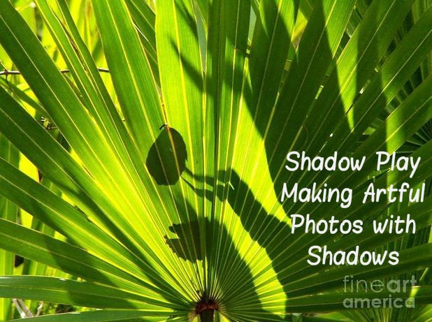 Shadow Play Making Artful Photos With Shadows 5 Steps With Pictures Instructables
