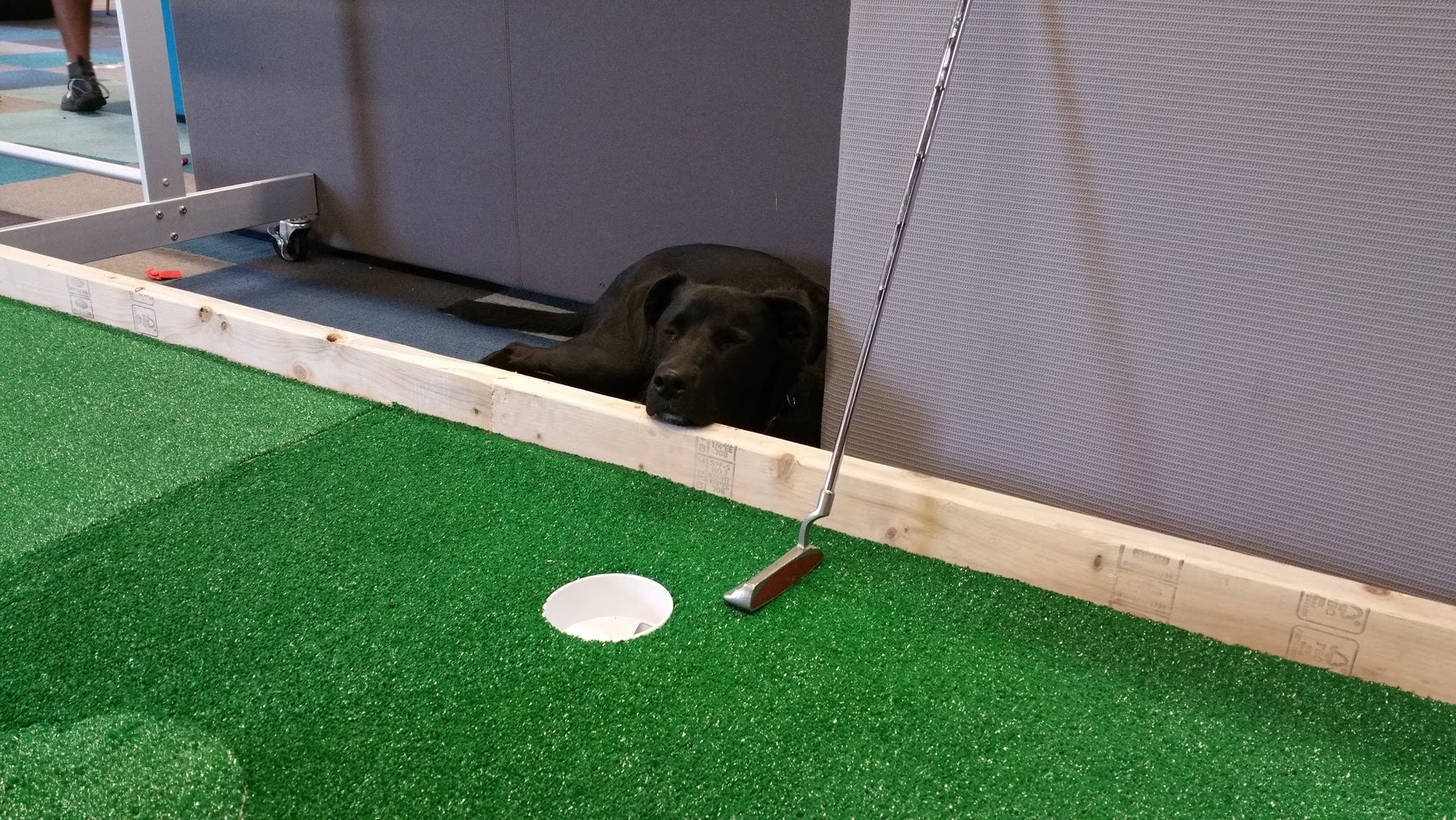 Modular Mini Golf Course : 8 Steps (with Pictures) - Instructables