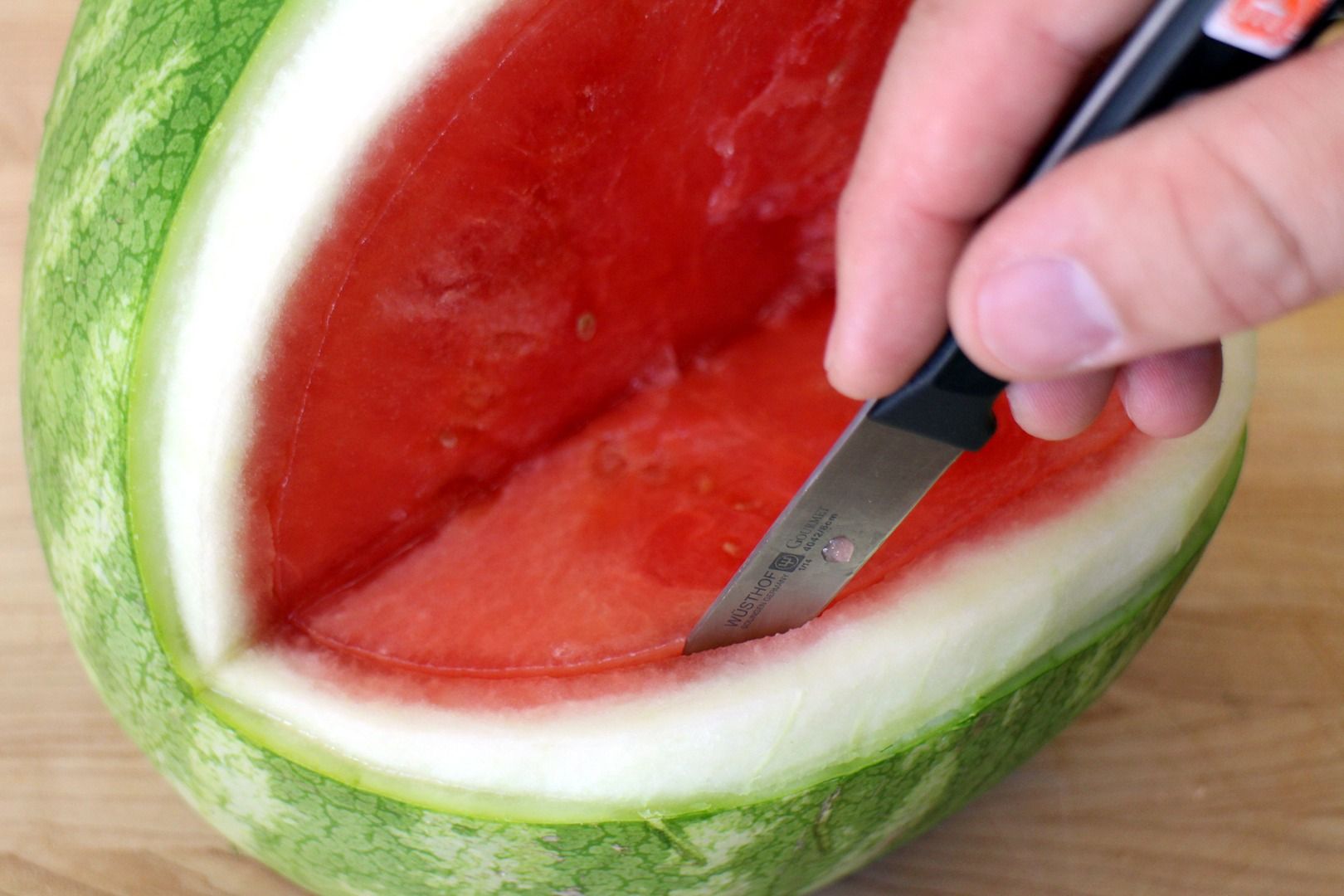 Watermelon Shark 13 Steps (with Pictures) Instructables