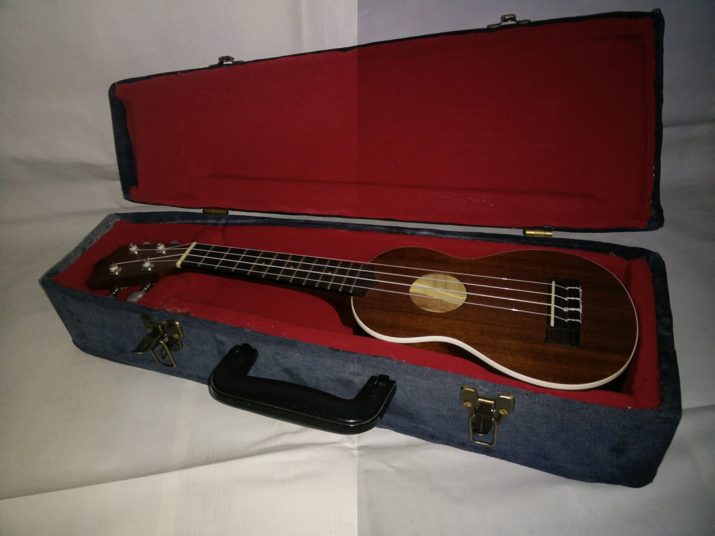 fremont ukulele case