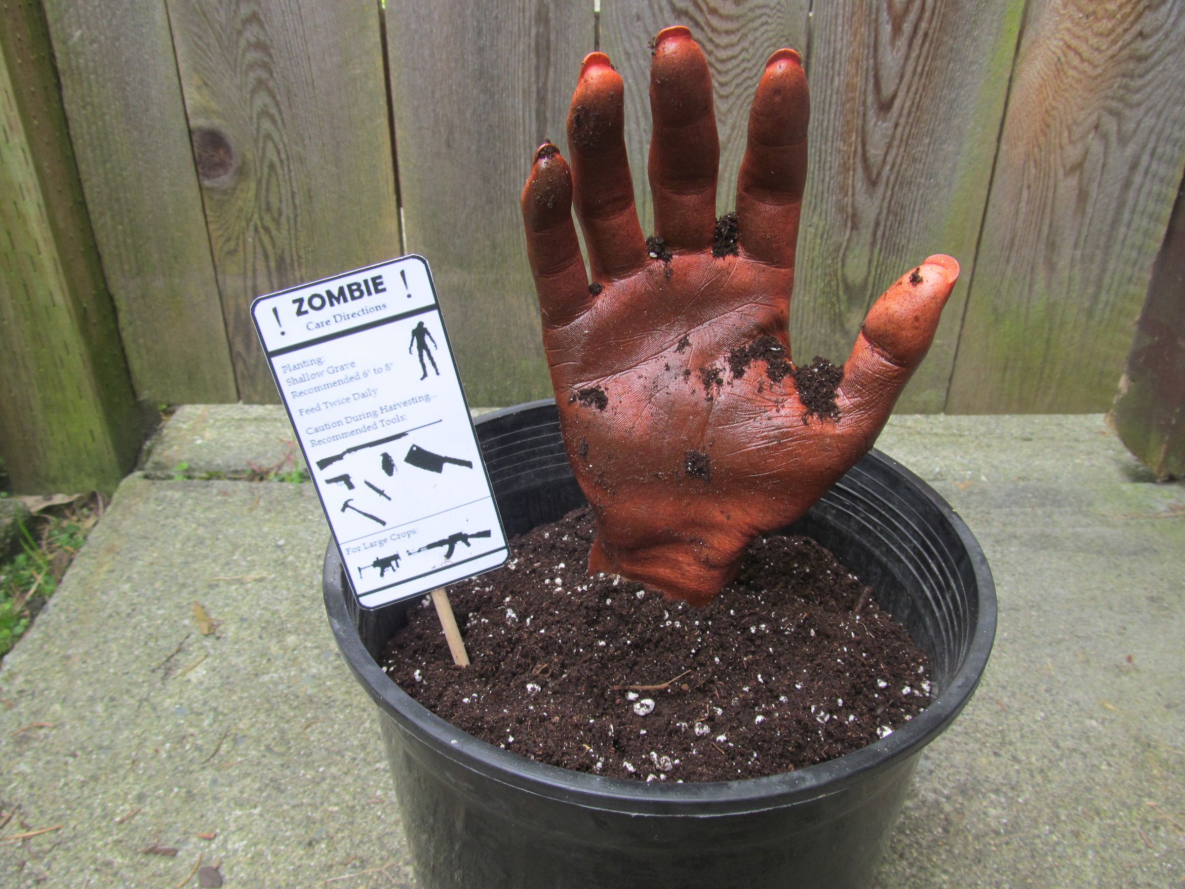 zombie in a pot- a fun prop/decoration DIY Project DIY Project Image