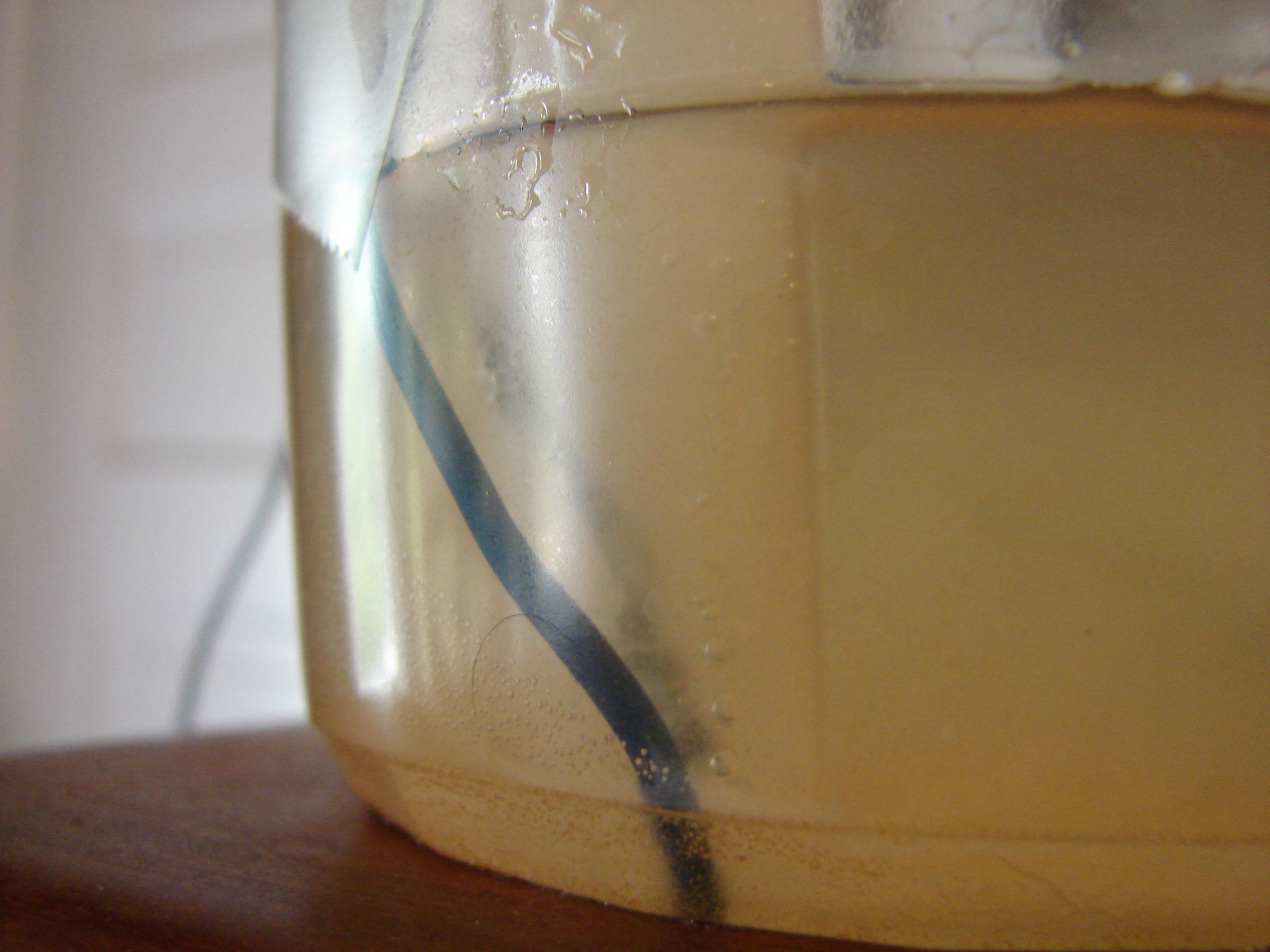 Separate Hydrogen and Oxygen From Water Through Electrolysis 7 Steps