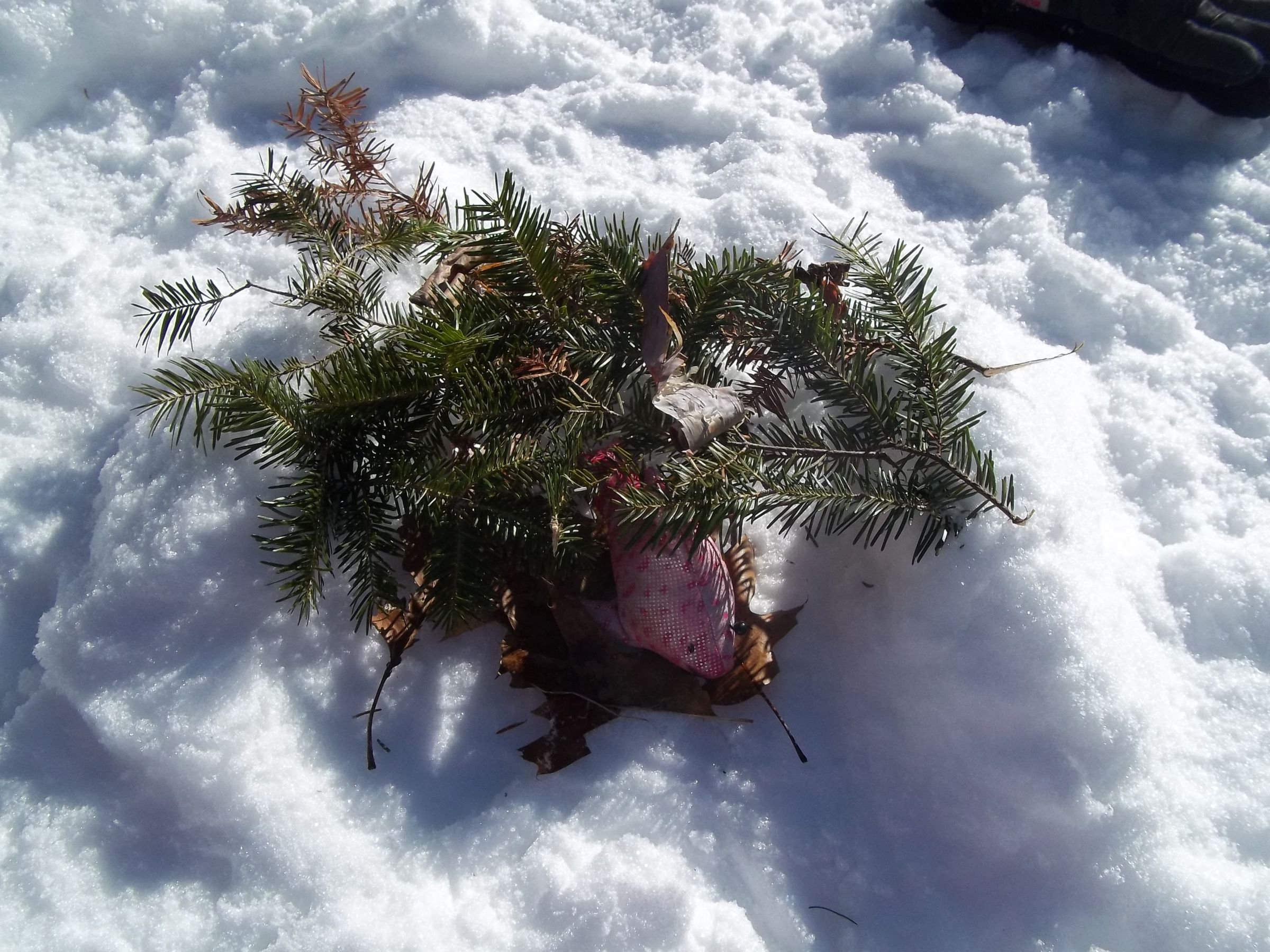 DIY guide for How to make a snow shelter with step-by-step instructions