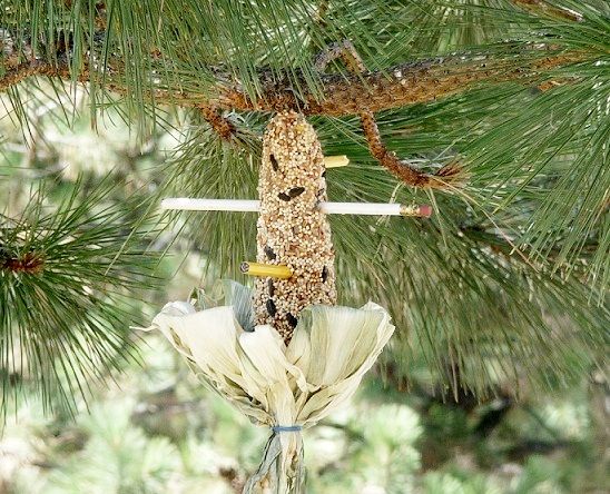 Corn Cob Bird Feeder... With Office Supplies