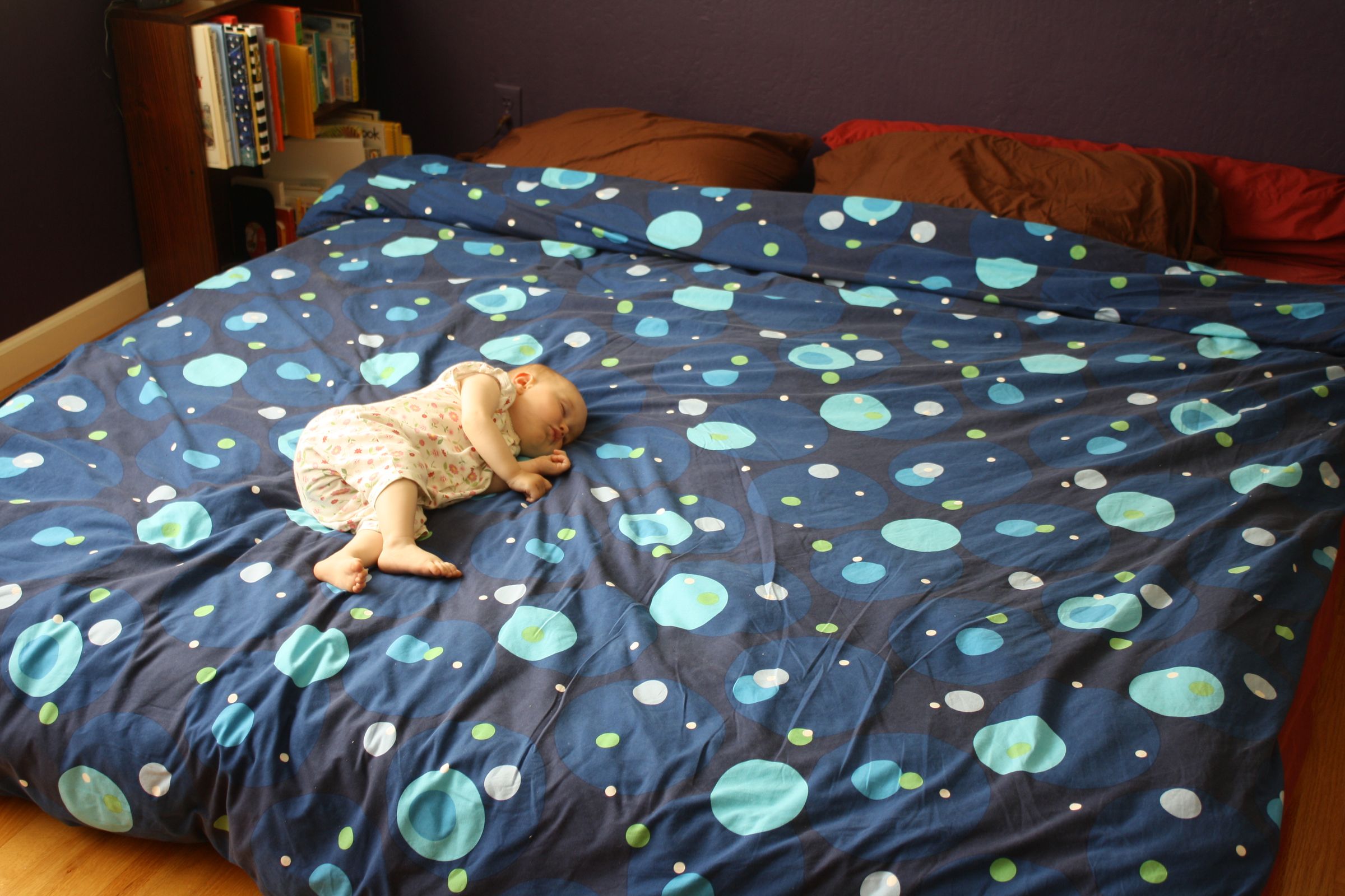 How to Make a Cheap, LowProfile Wooden Bed Frame 4 Steps (with Pictures) Instructables