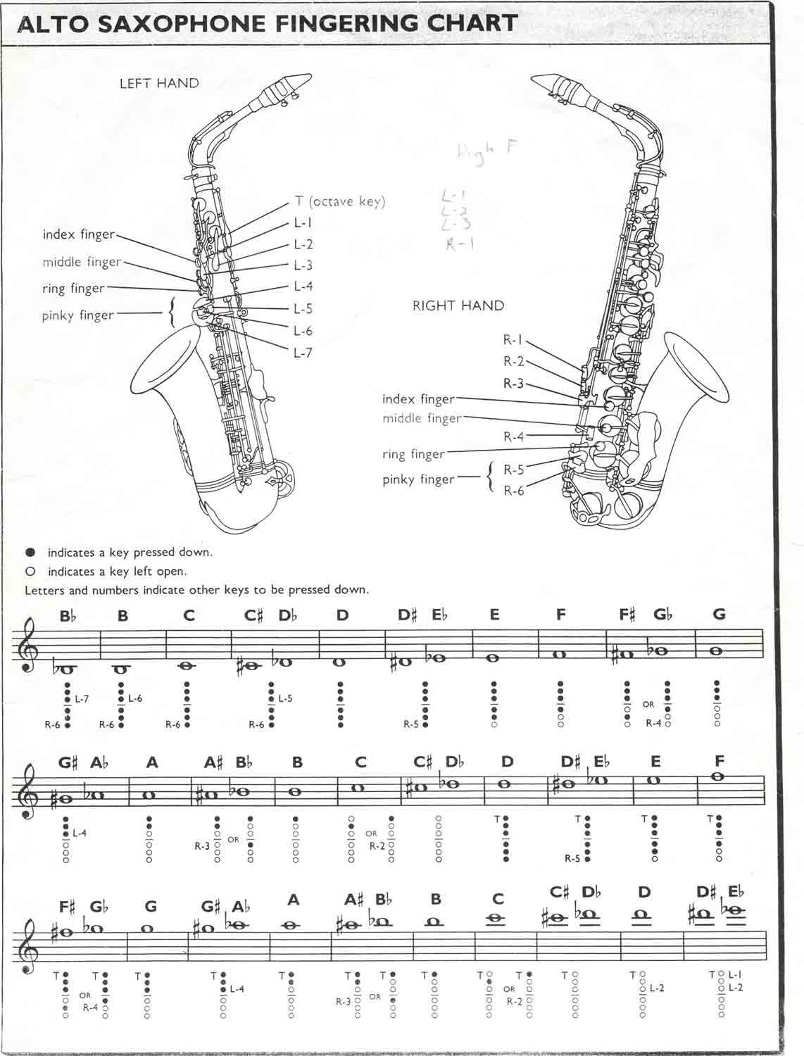 Basic Alto Saxophone (could Be Applied to Tenner, Barritone, Ect