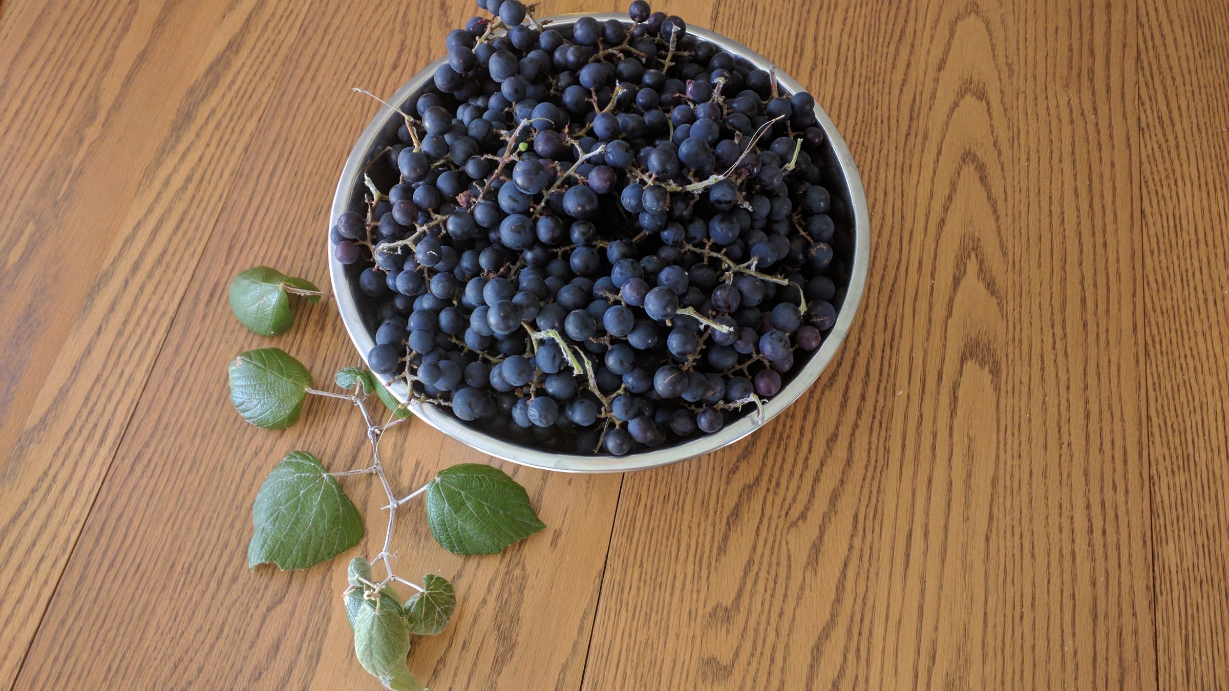 Texas Wild Mustang Grape Jelly 7 Steps (with Pictures) Instructables