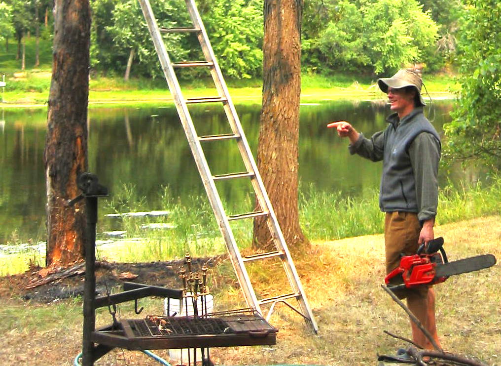 How to Cut Down a Tree 6 Steps Instructables