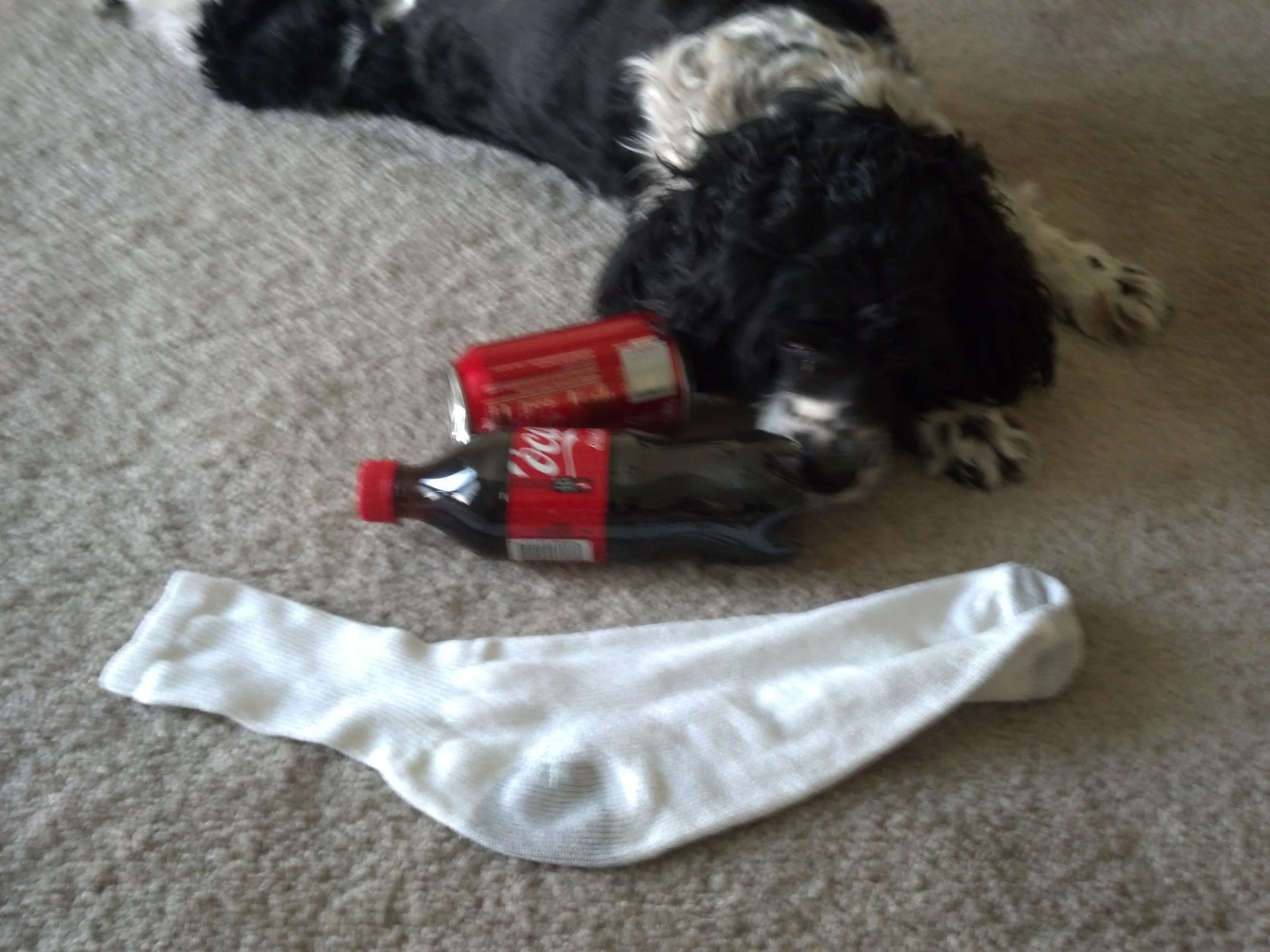 Sock Bottle Dog Toy Instructables