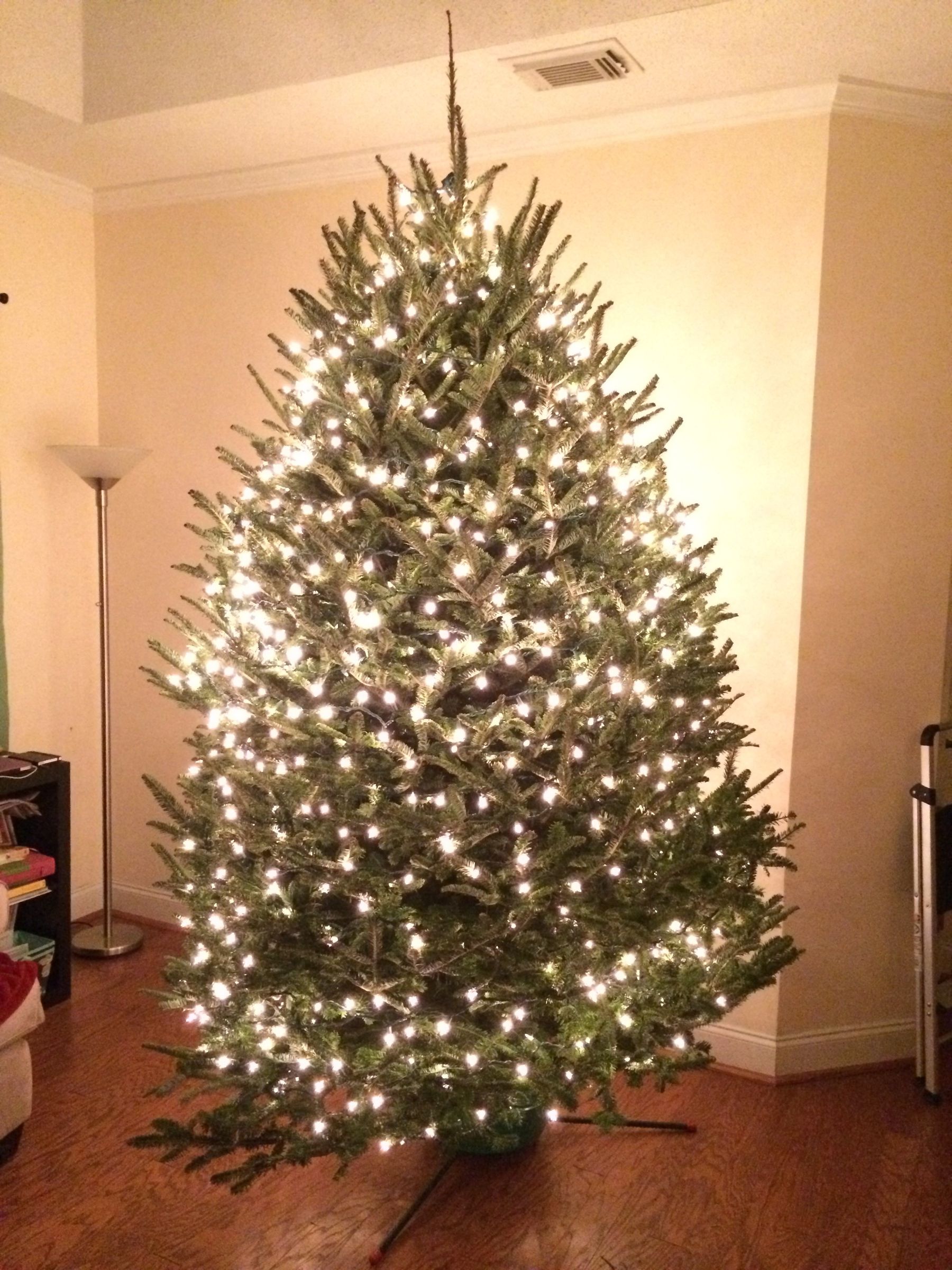 Less Messy Christmas Tree Removal 8 Steps With Pictures Instructables