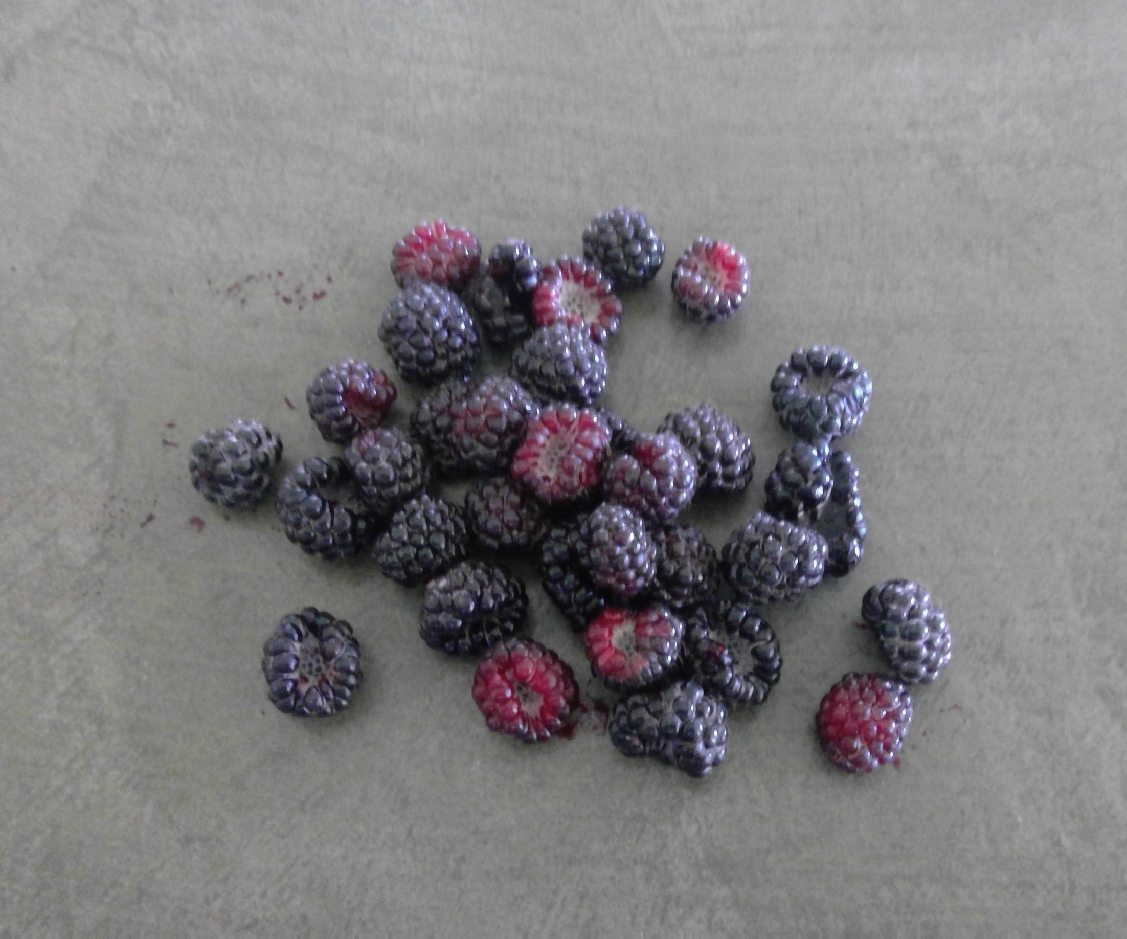 DIY guide for Berry Yogurt Blast Popsicles with step-by-step instructions