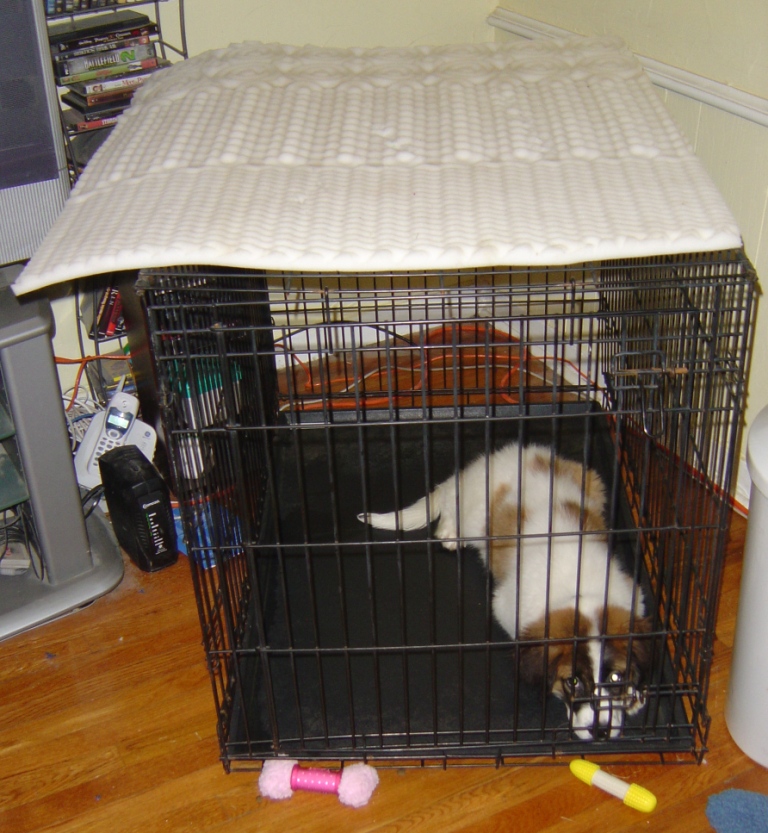 waterproof crate pad liner