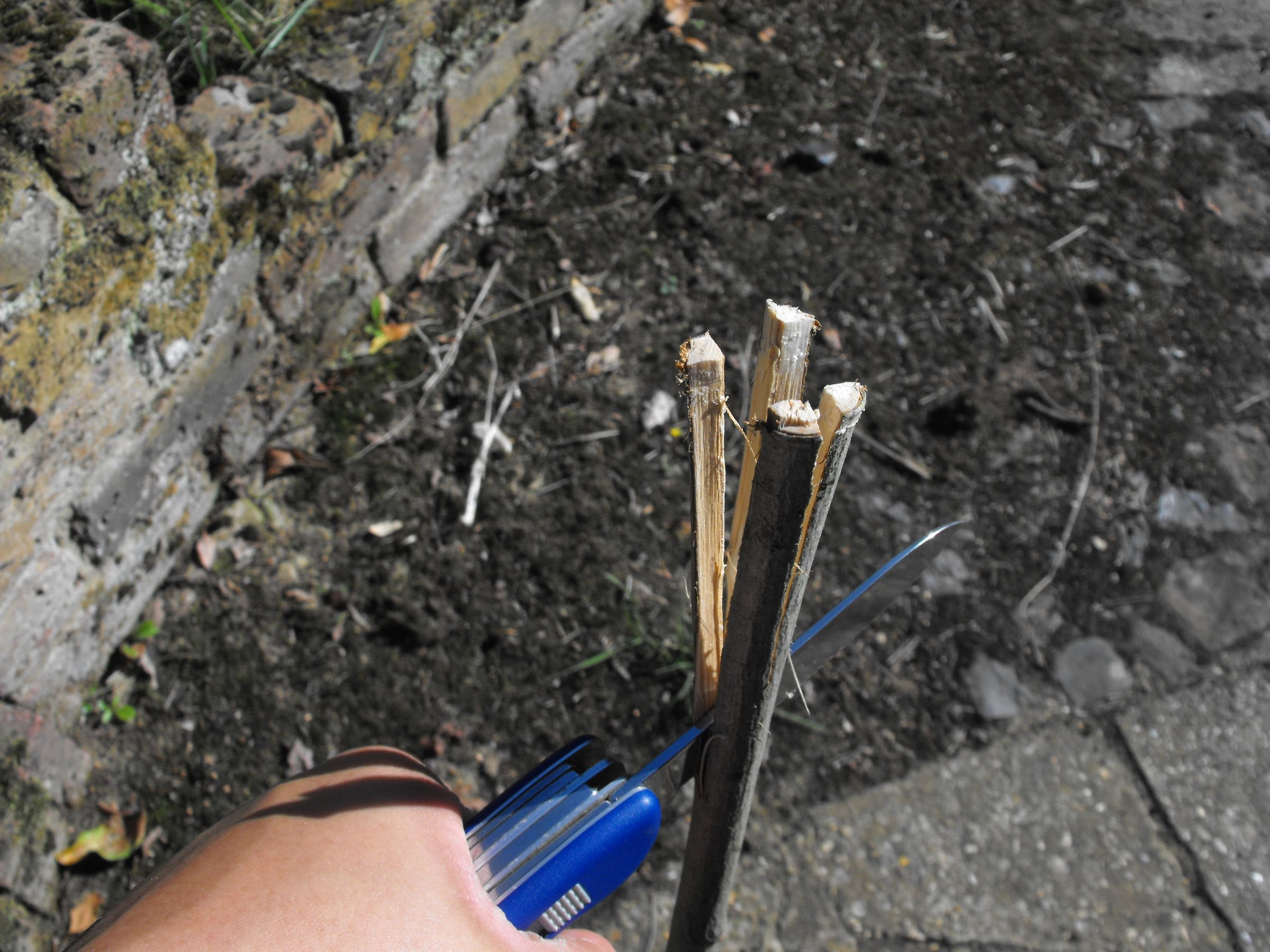 Campfire Toasting Fork 5 Steps (with Pictures) Instructables