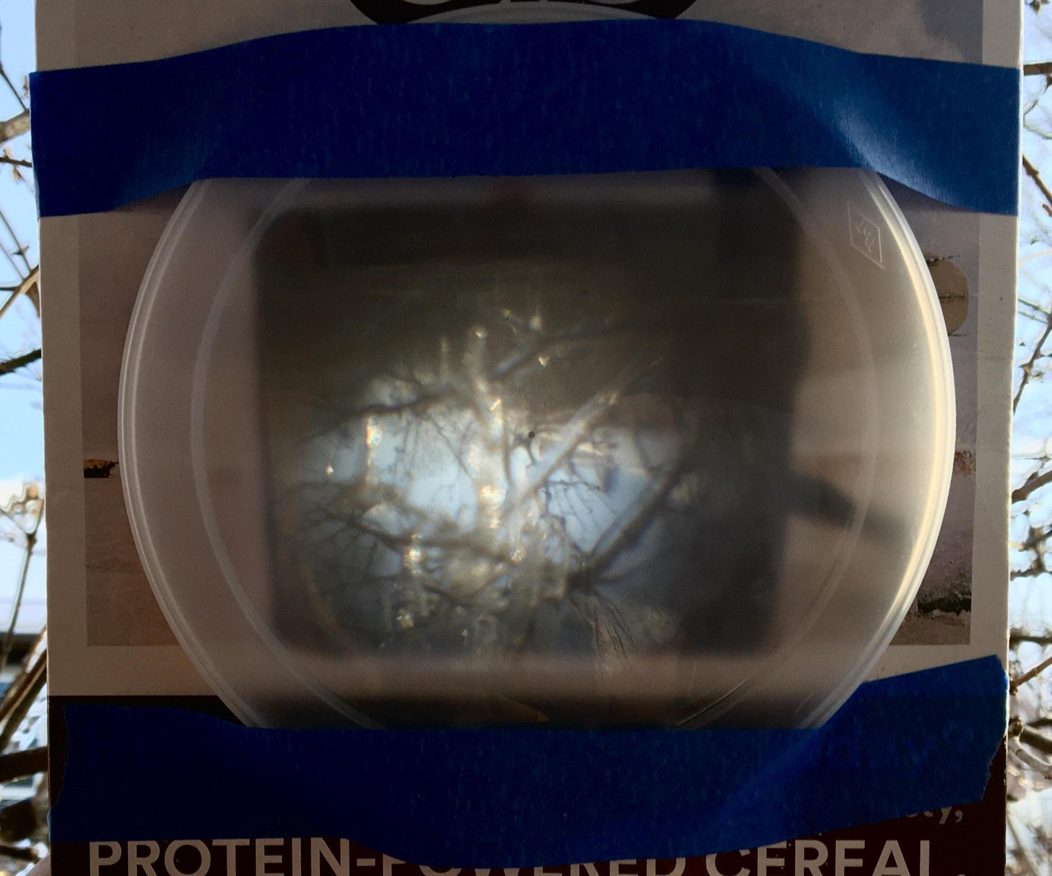 Make a Camera Obscura From a Cereal Box — or Practically Anything Else