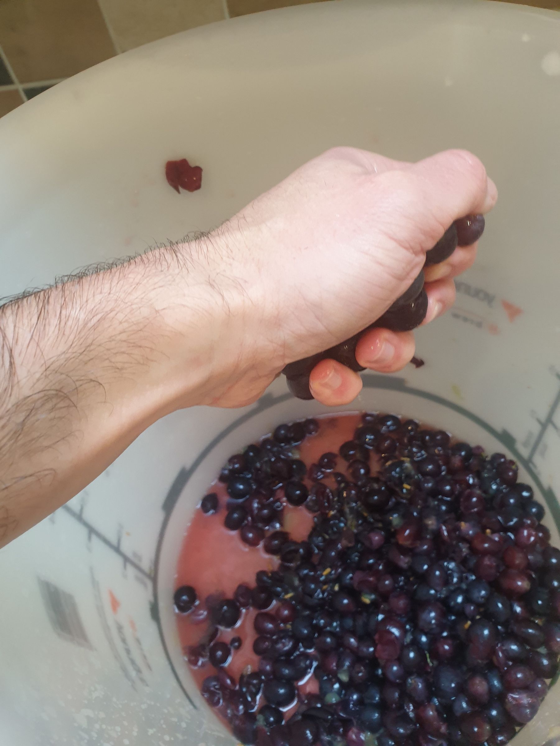 How to Make Your Own Wine From Grapes at Home 20 Steps (with Pictures) Instructables