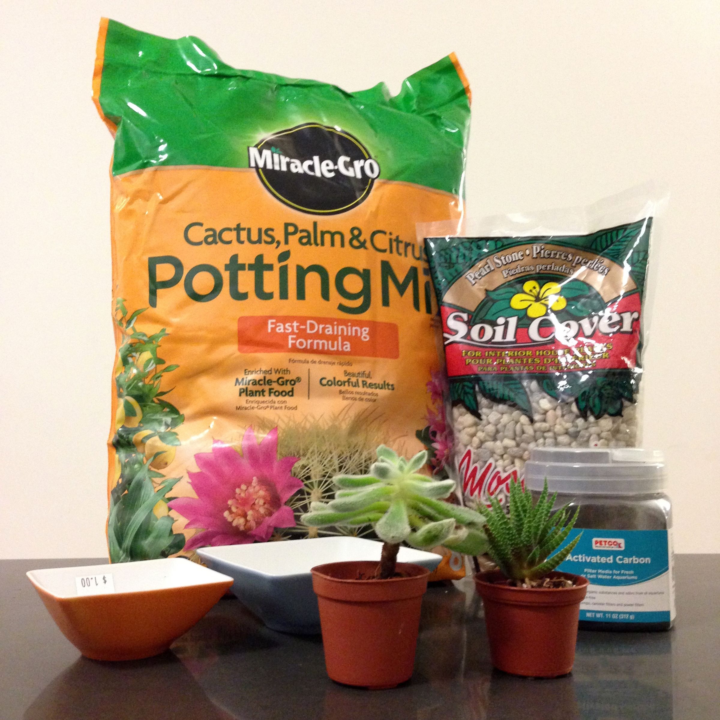 How To Make A Succulent Teacup Garden 10 Steps With Pictures Instructables