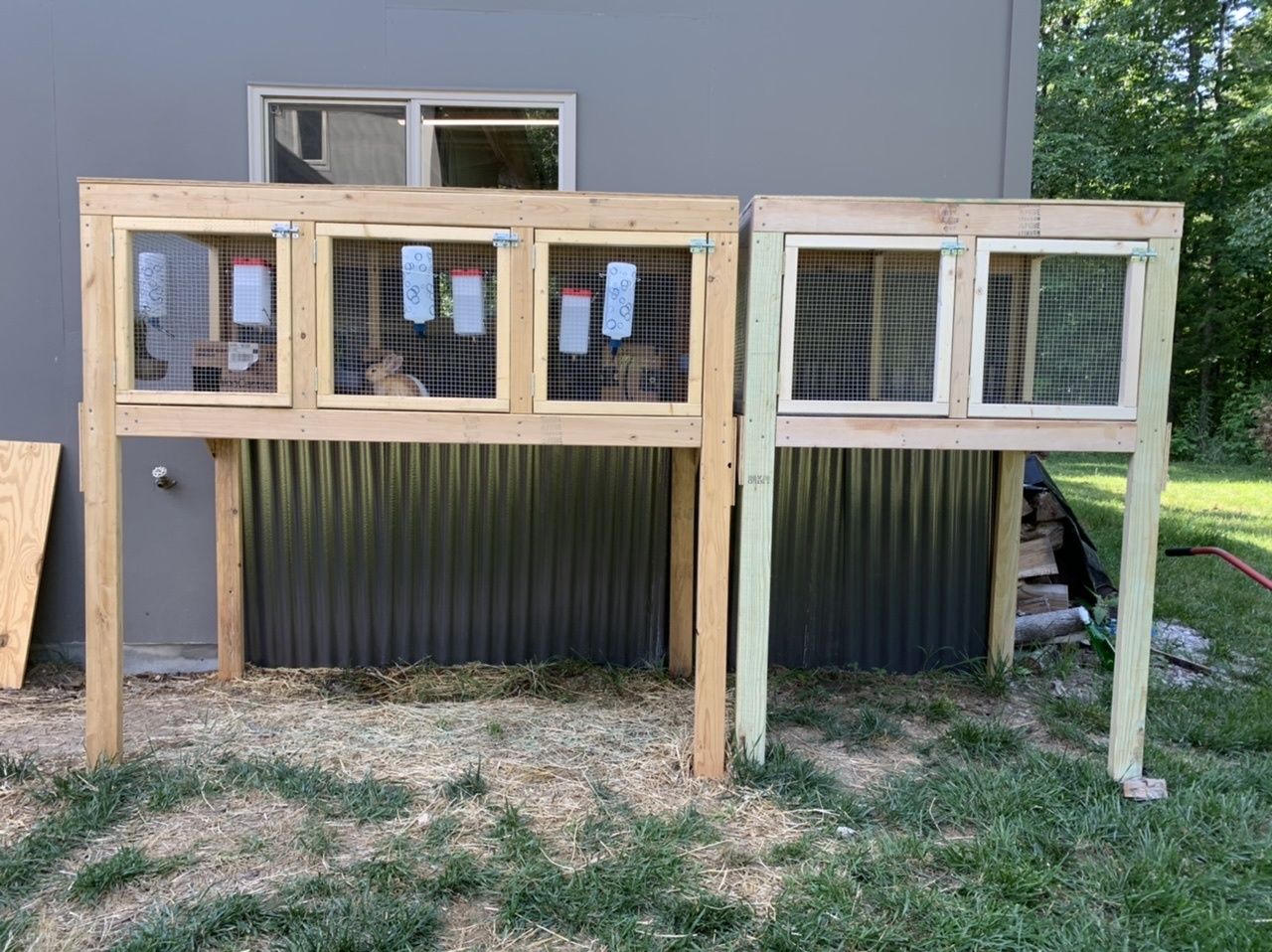rabbit breeding hutches
