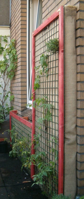 Vertical Garden 8 Steps With Pictures Instructables - Vertical Garden Wire Mesh Vertical Garden 8 Steps With Pictures Instructables - Vertical Garden Wire Mesh