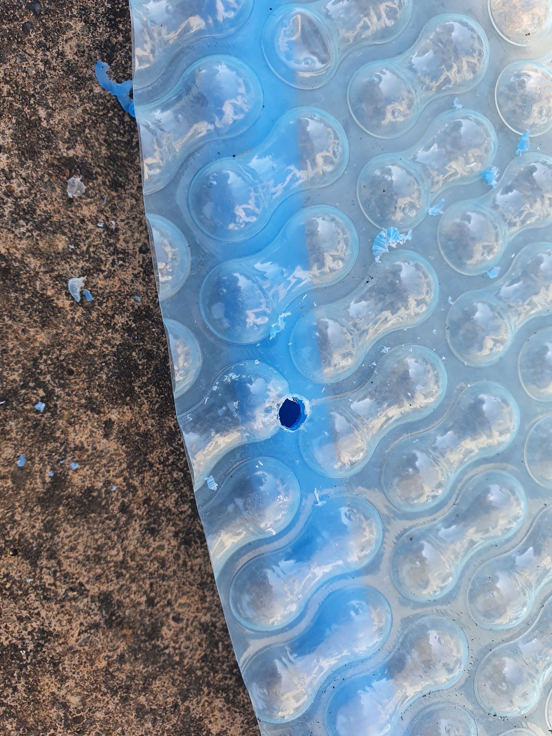 Heat Your Pool With Solar Lily Pads : 4 Steps (with Pictures