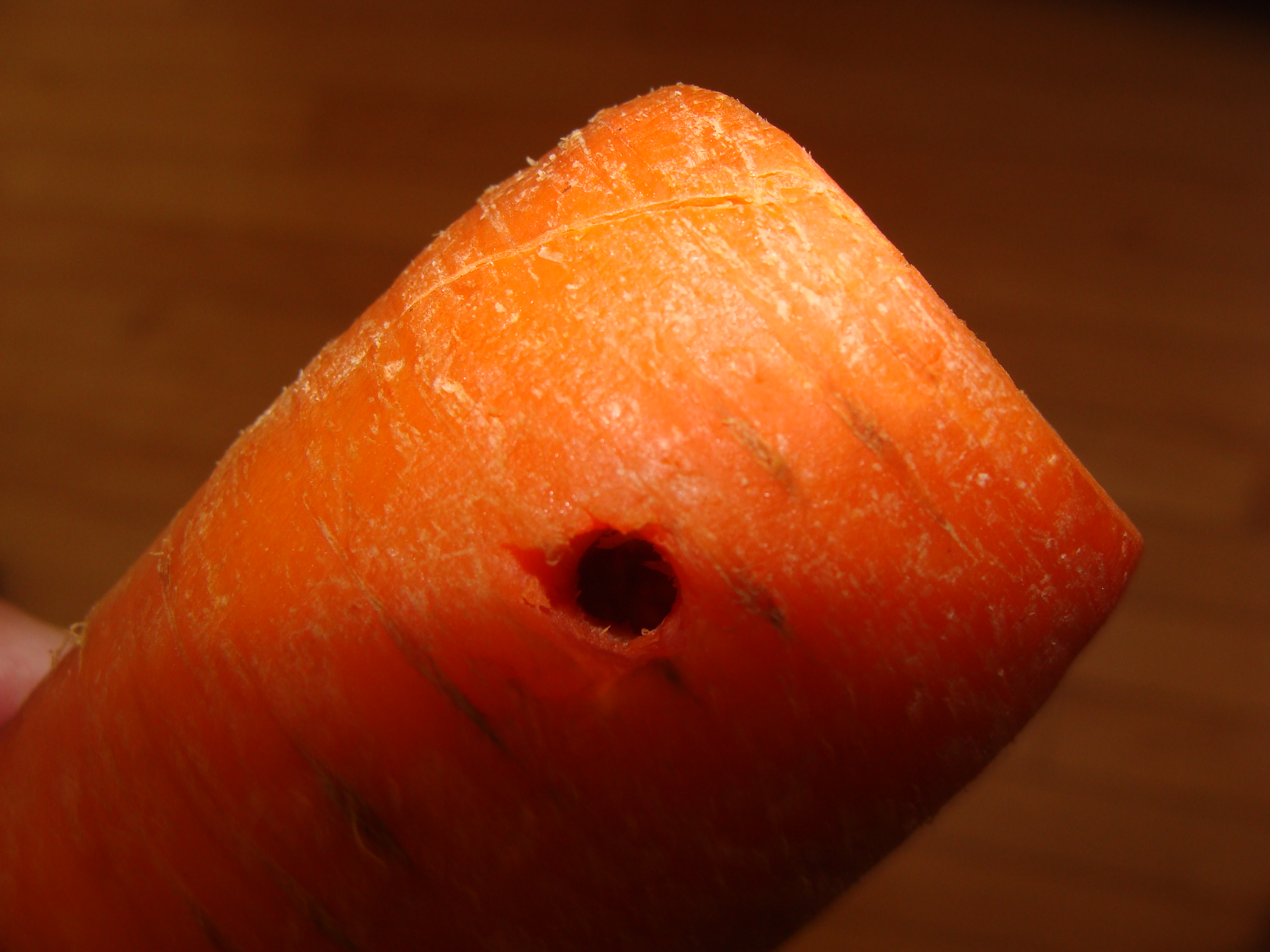 When You Can't Find Your Harmonica Carrot Flute 7 Steps (with