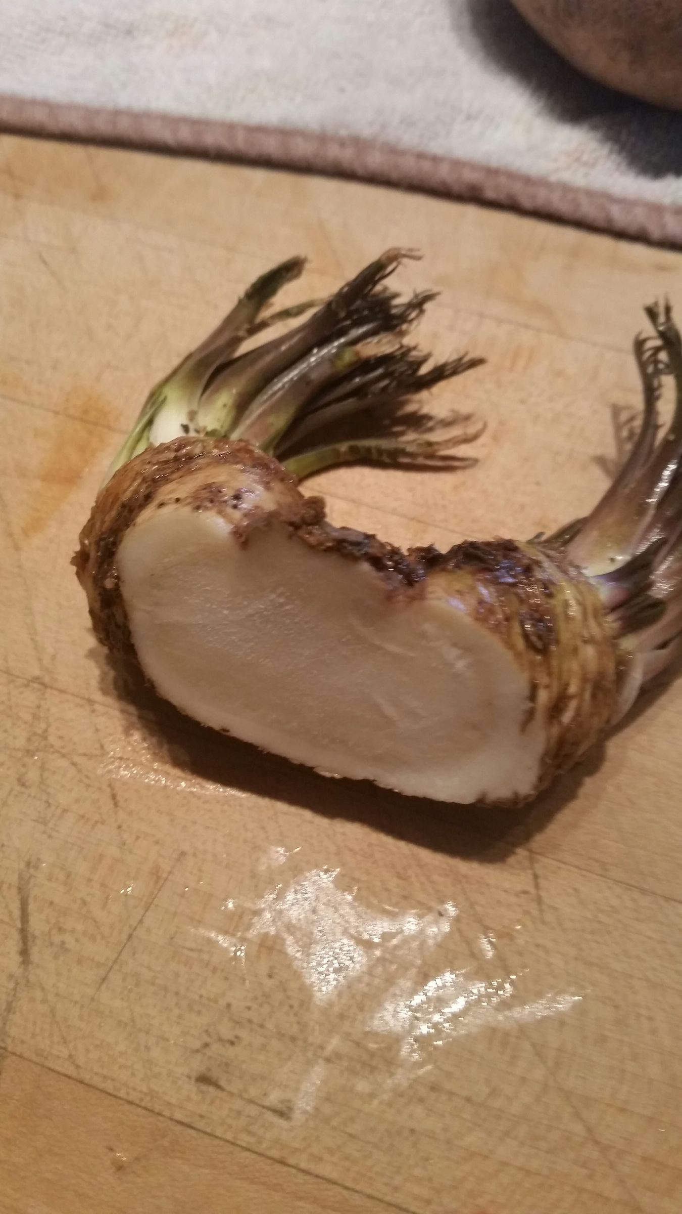 Canning Horseradish 4 Steps Instructables