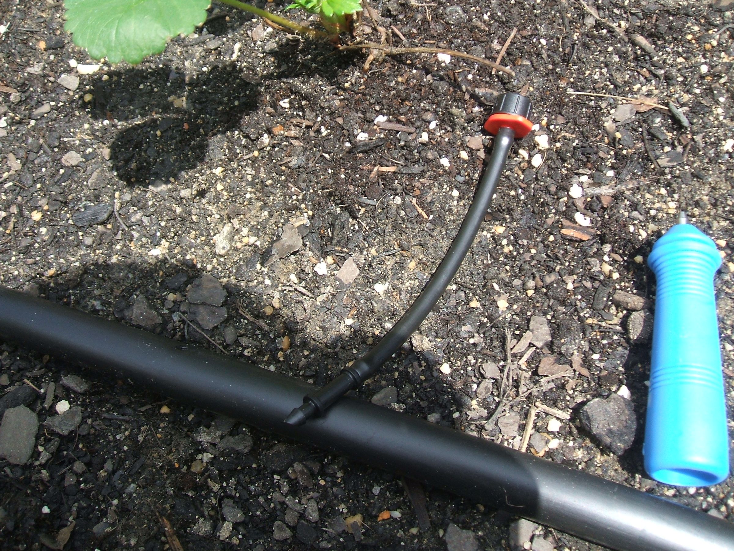 Drip Irrigation! Save the World by Saving Water! Instructables