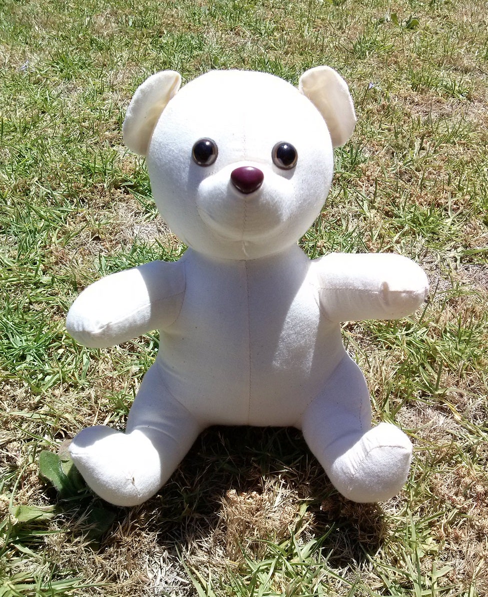 Paint Teddy Bears 3 Steps Instructables