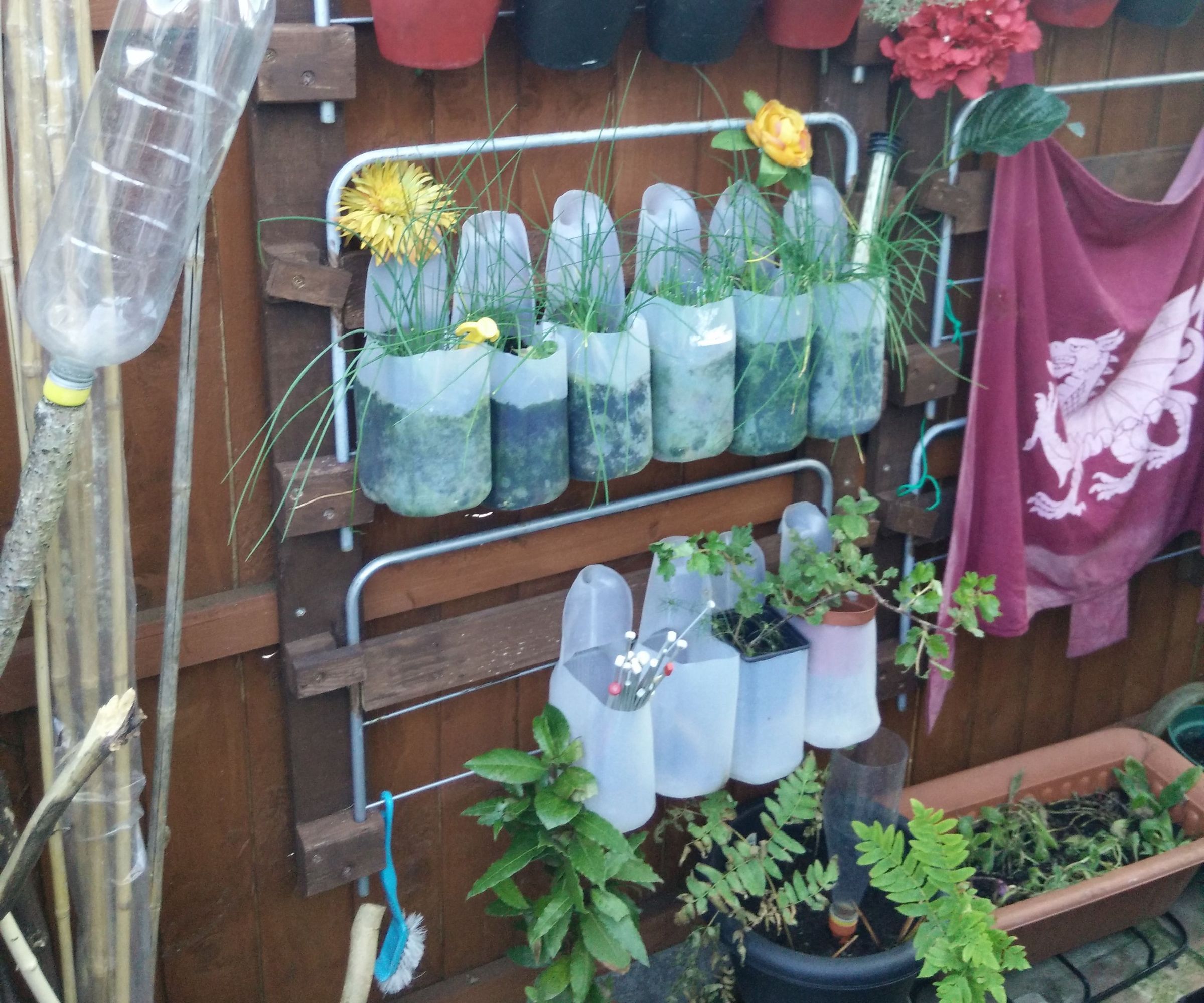 DIY guide for Modular Wall-Mounted Container Garden with step-by-step instructions